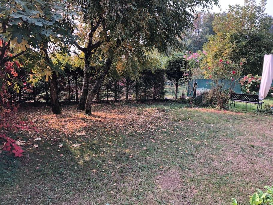 Photo 26