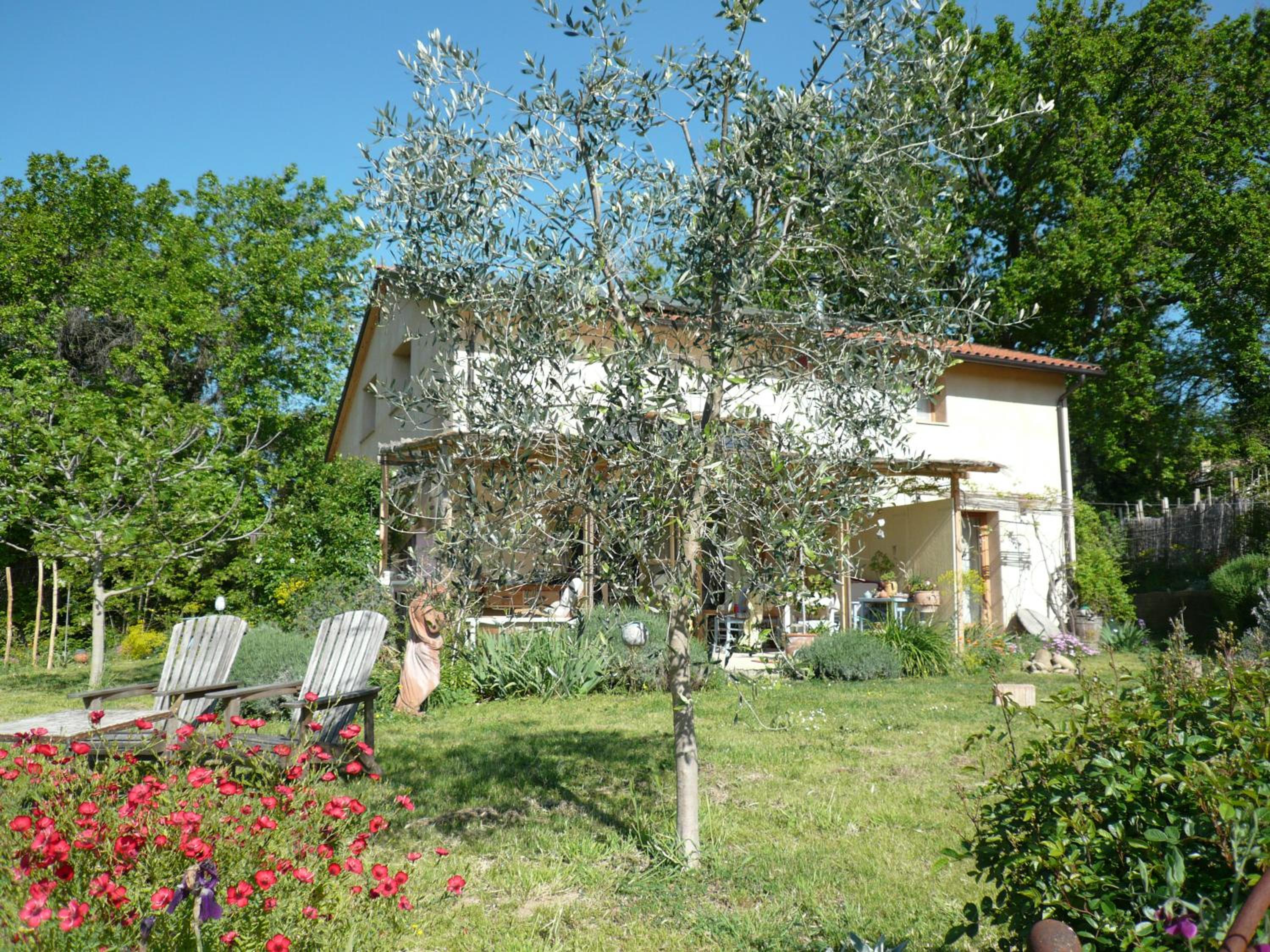 Photo 31