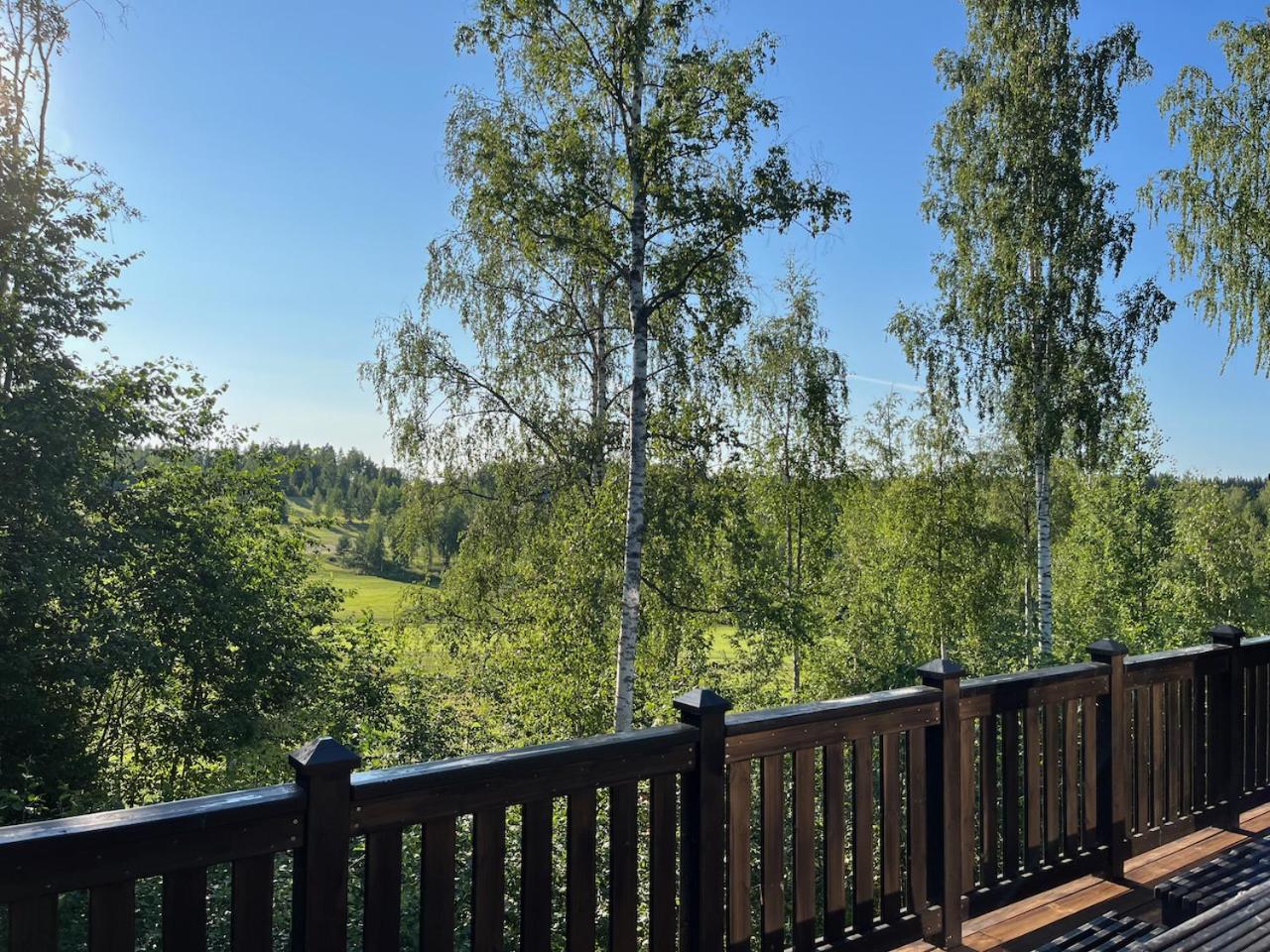 Villa Breikki, Himos