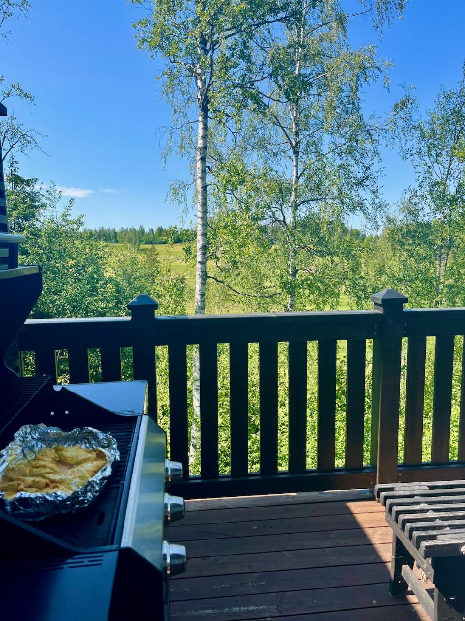 Villa Breikki, Himos