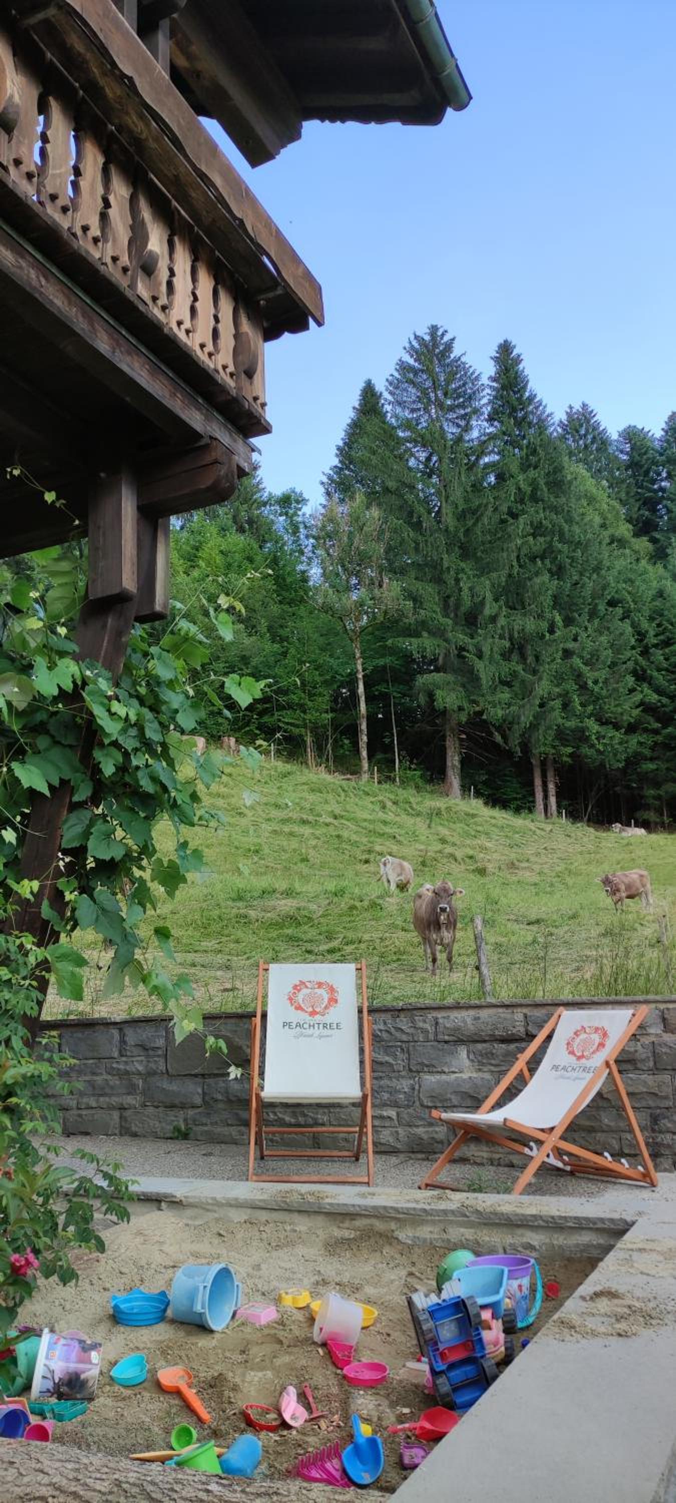 Ferienhaus am Berg