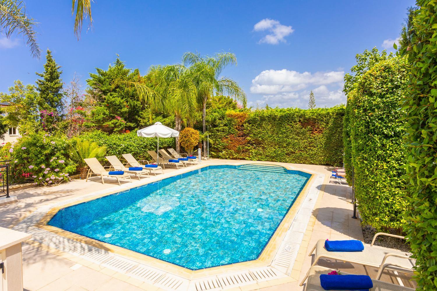 Villa Galina view 4