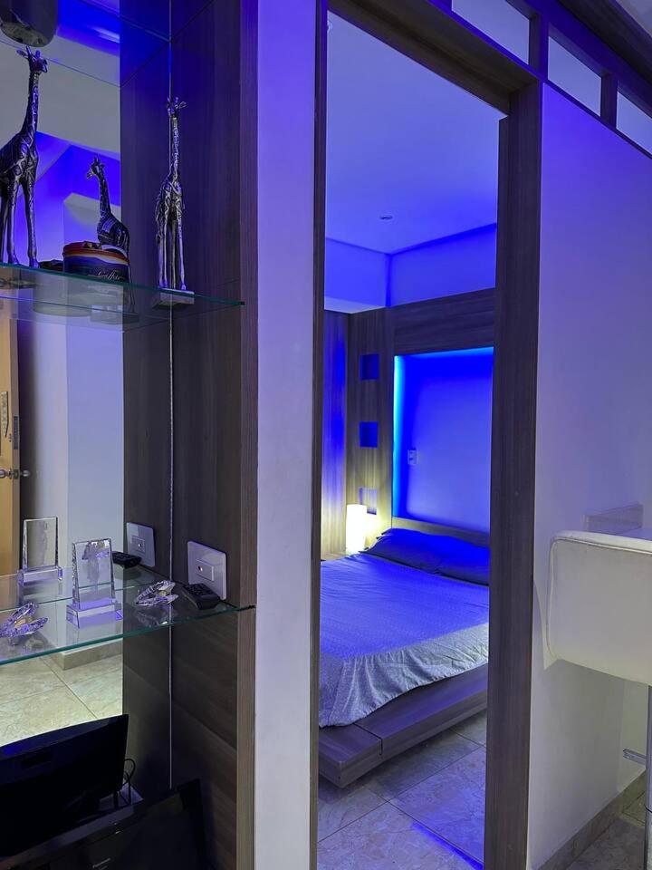 Luxurious studio