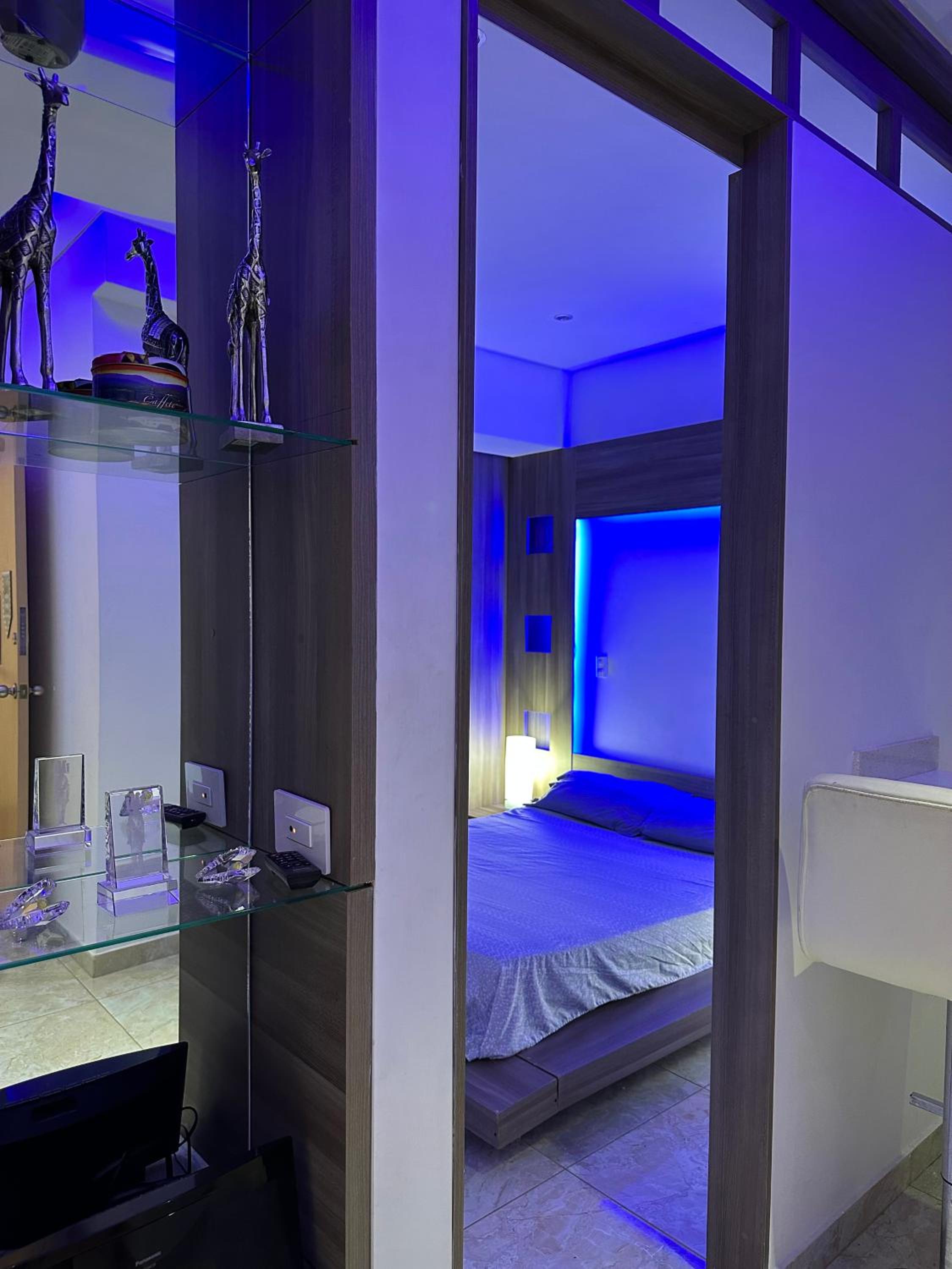 Luxurious studio