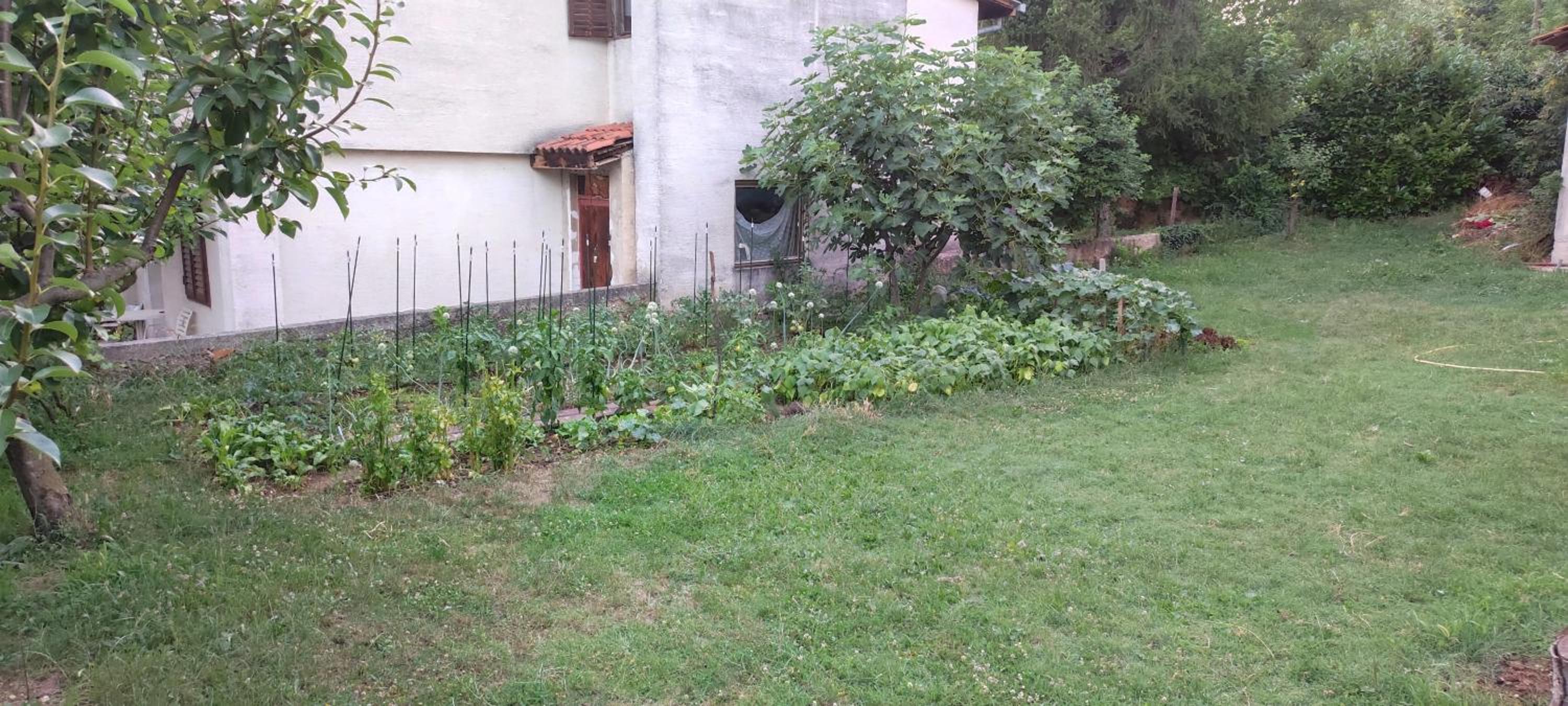 Apartman Vlatka