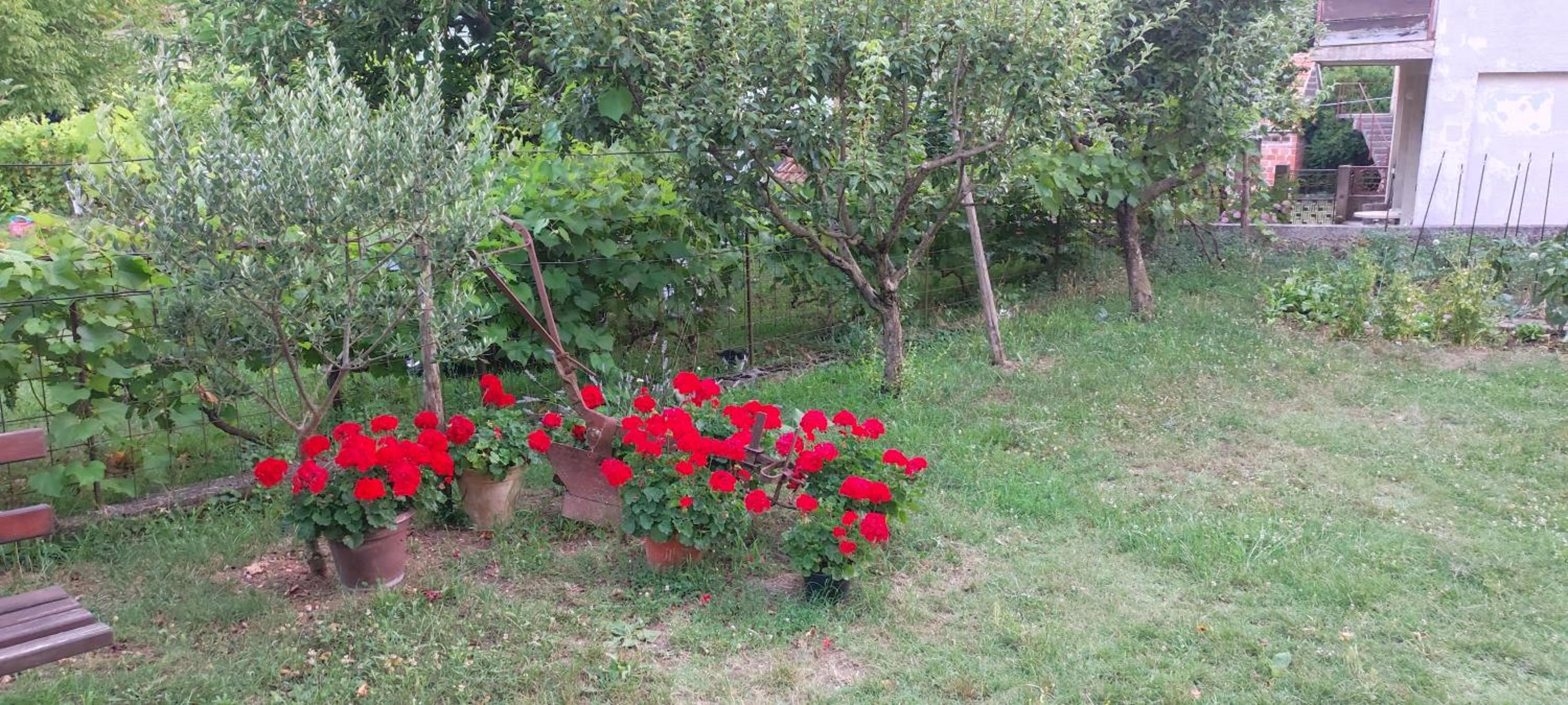 Apartman Vlatka