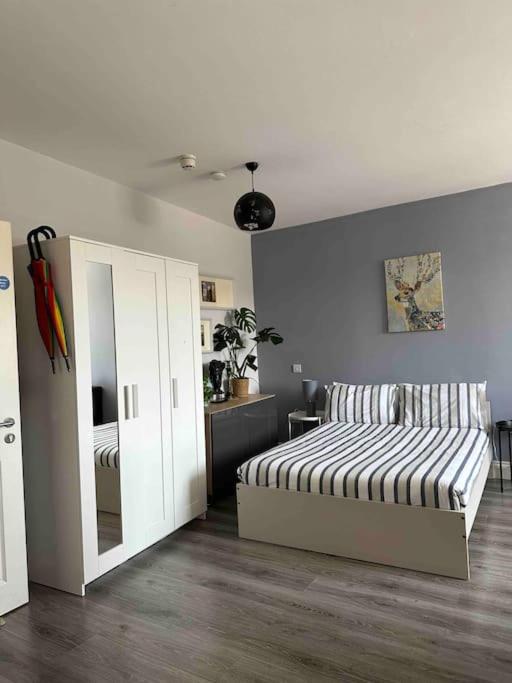 Lovely Studio in Dublin City Centre
