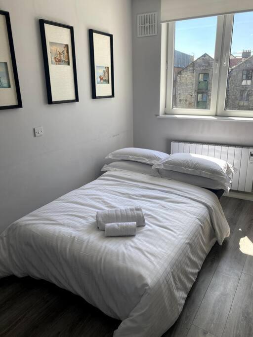 Lovely Studio in Dublin City Centre