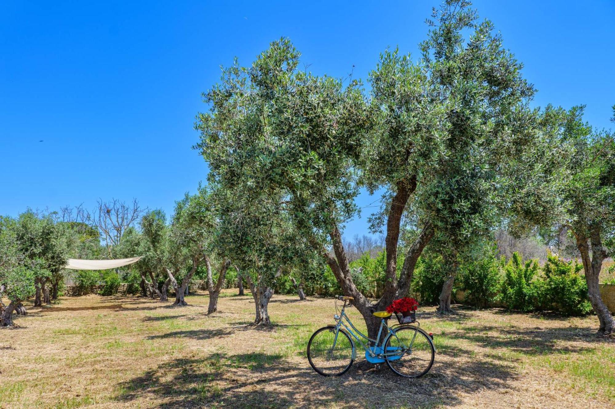 Tenuta la Trebbia
