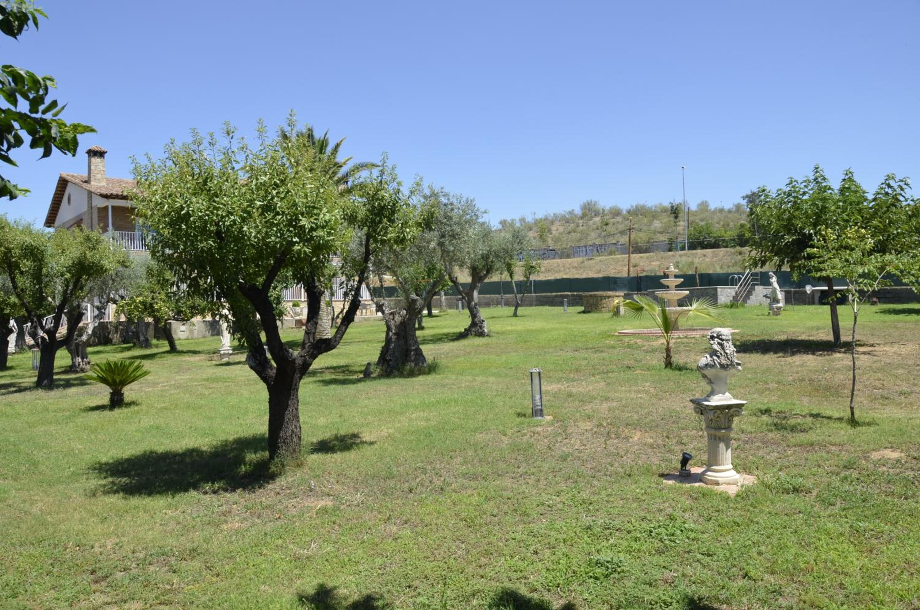 Sueña TOLEDO