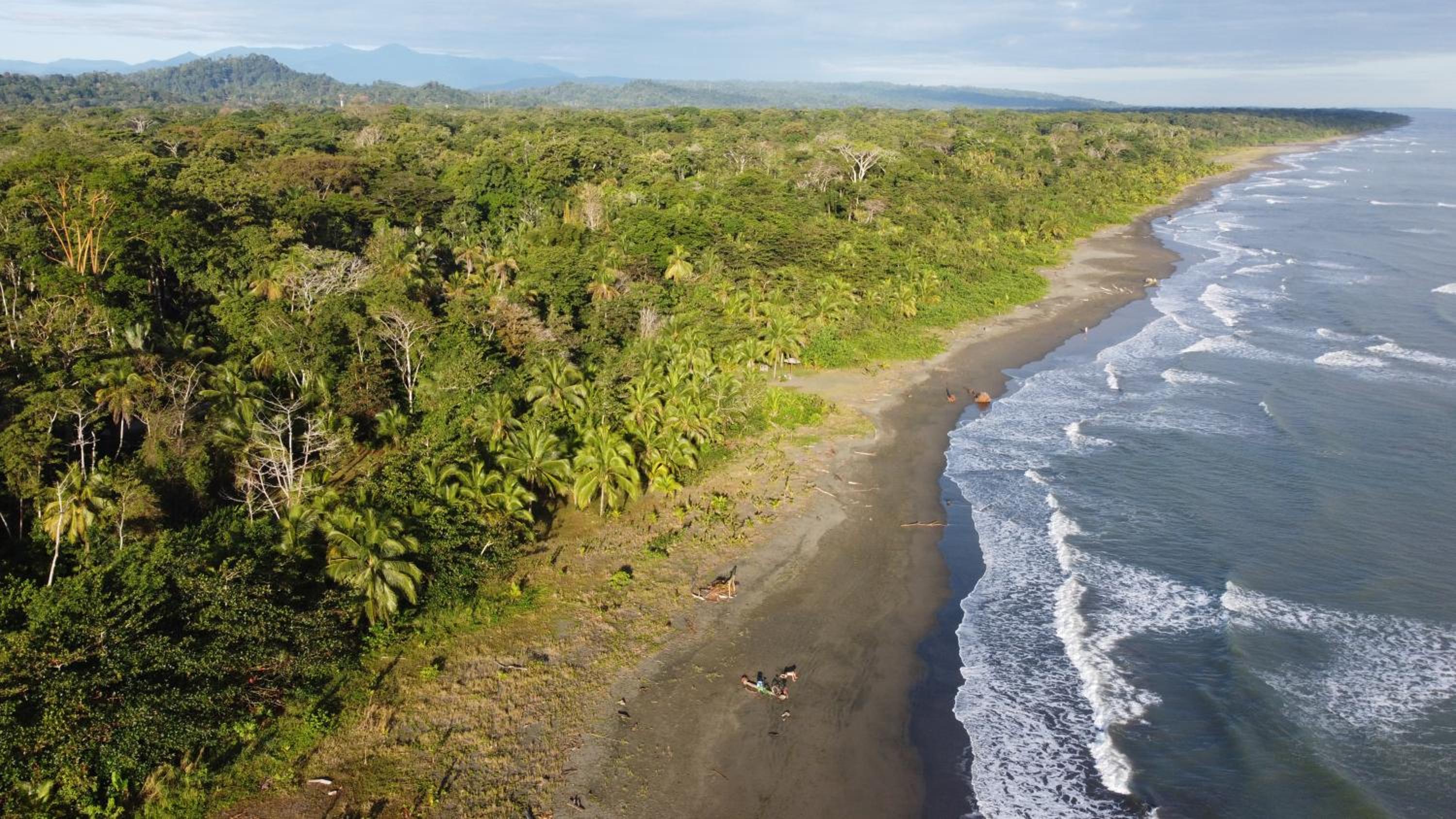 Pura Vida Vegana view 3