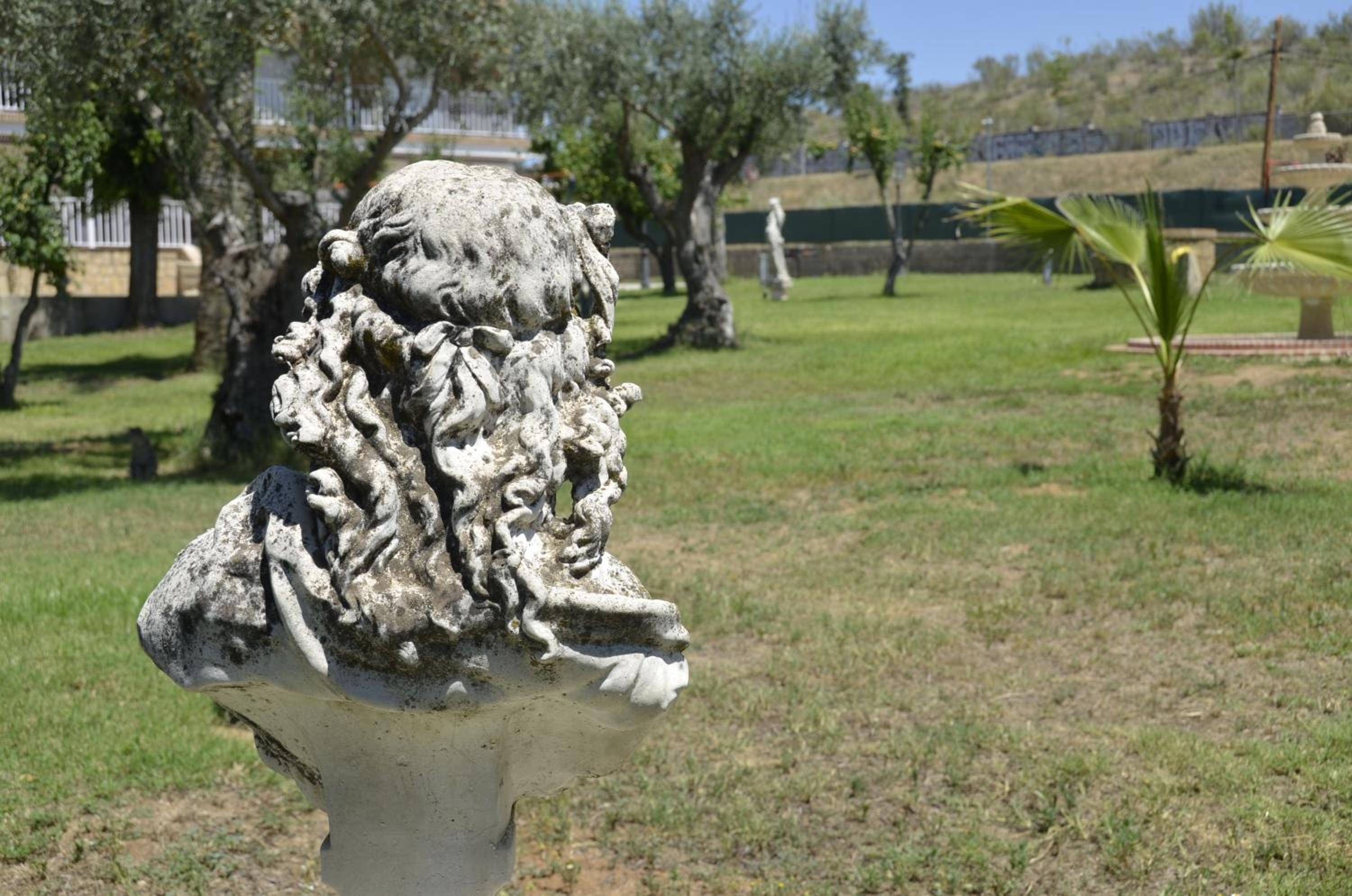 Sueña TOLEDO