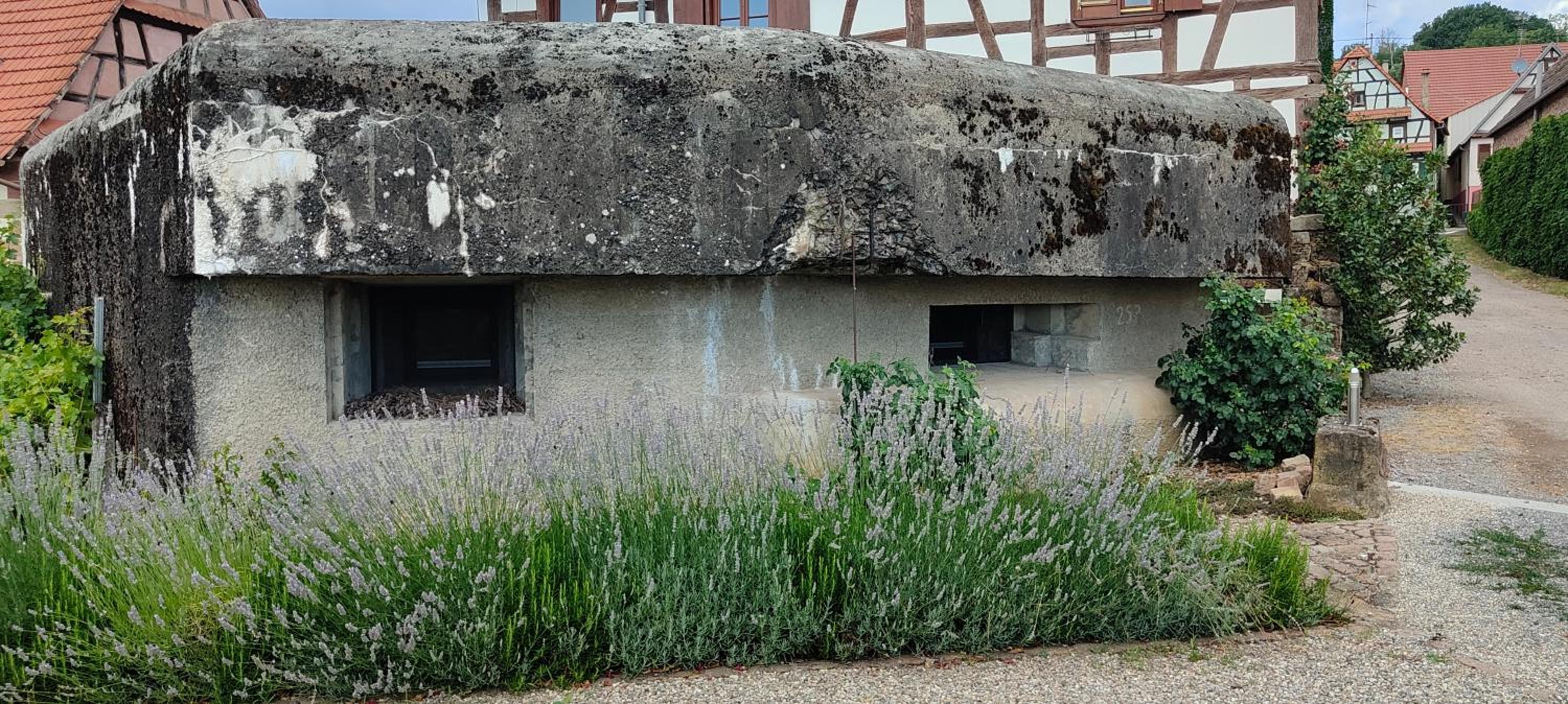 Au Bunker 67