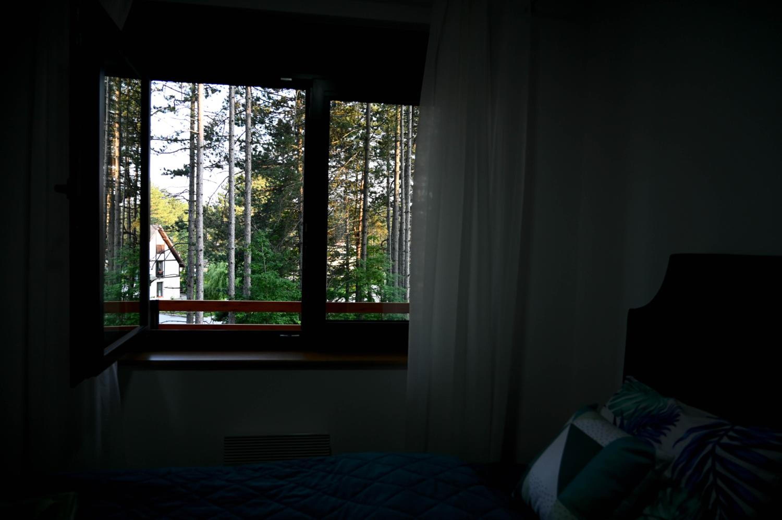 Photo 28