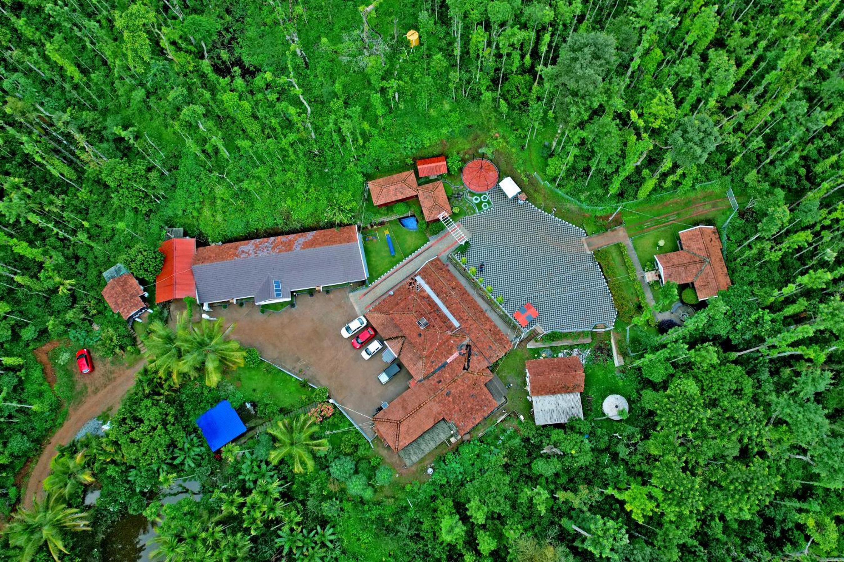 Jungle Greens Homestay - Water Activities, 150Y Estate, Home Food view 3