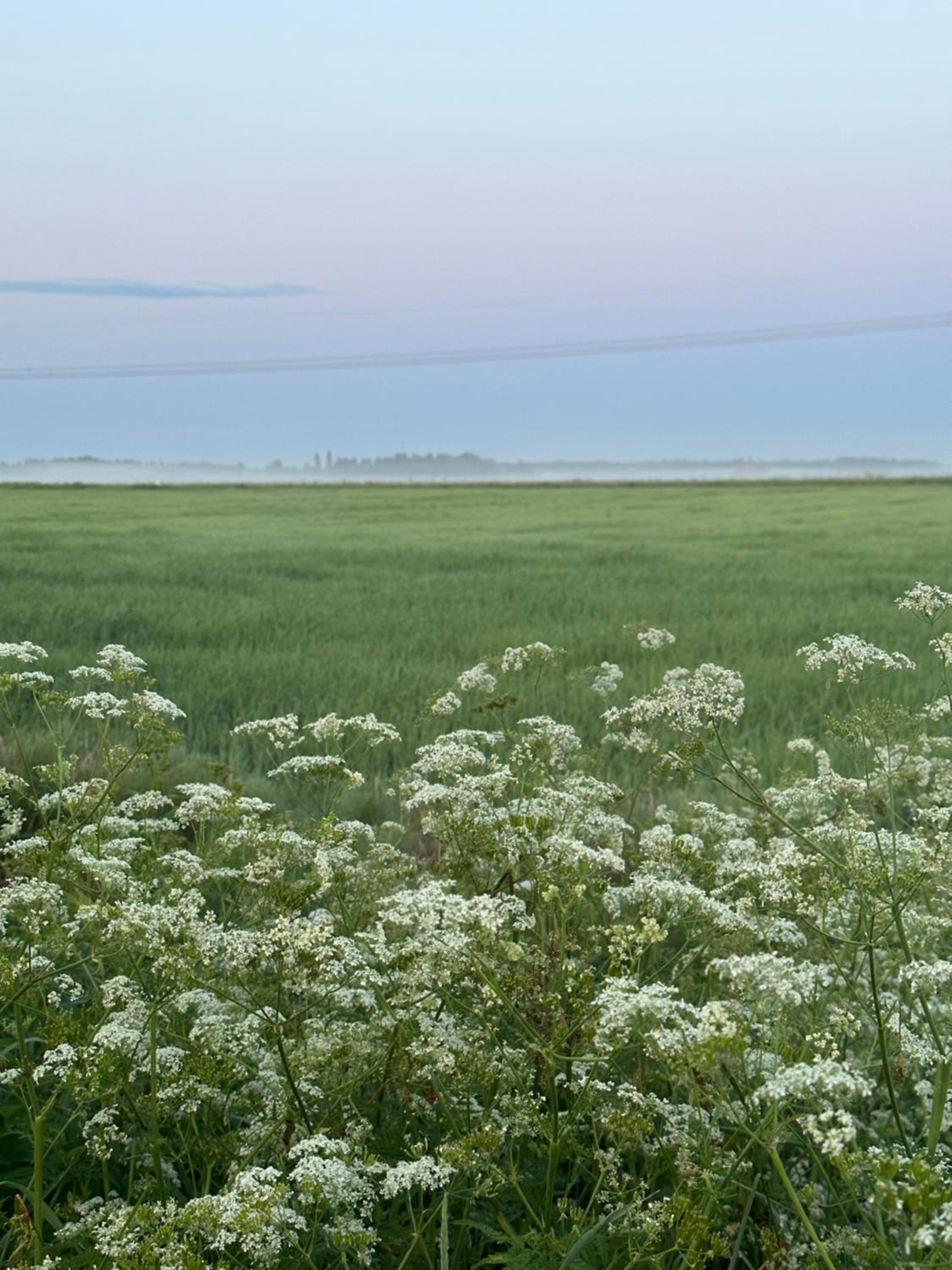 PeltoVilla
