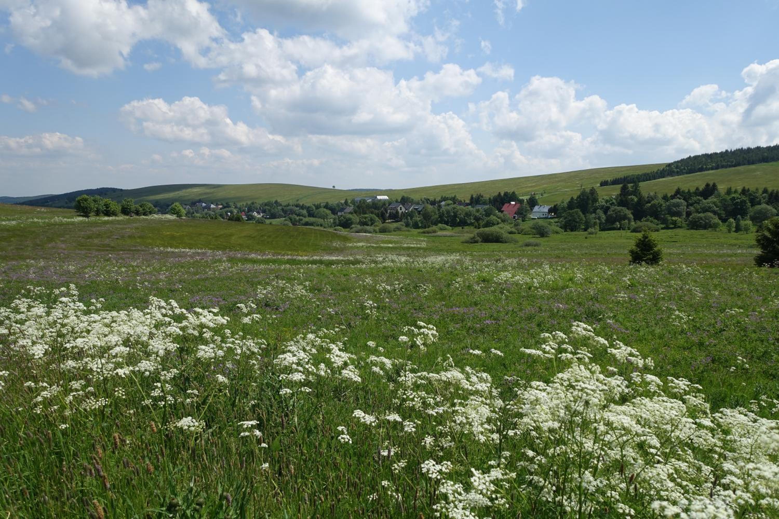 Krušné Apartmány - bike friendly