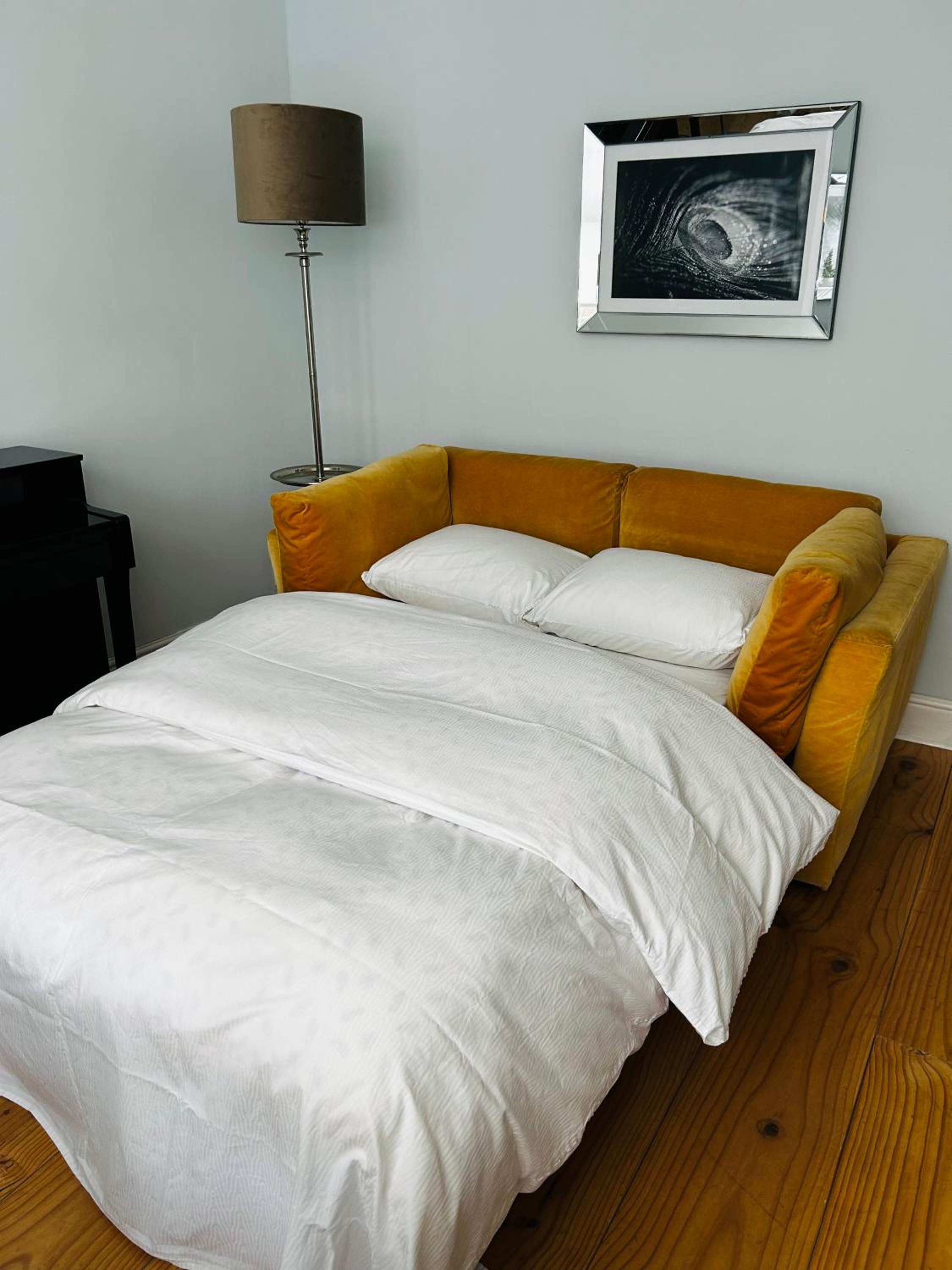 Luxury apartment in the city center