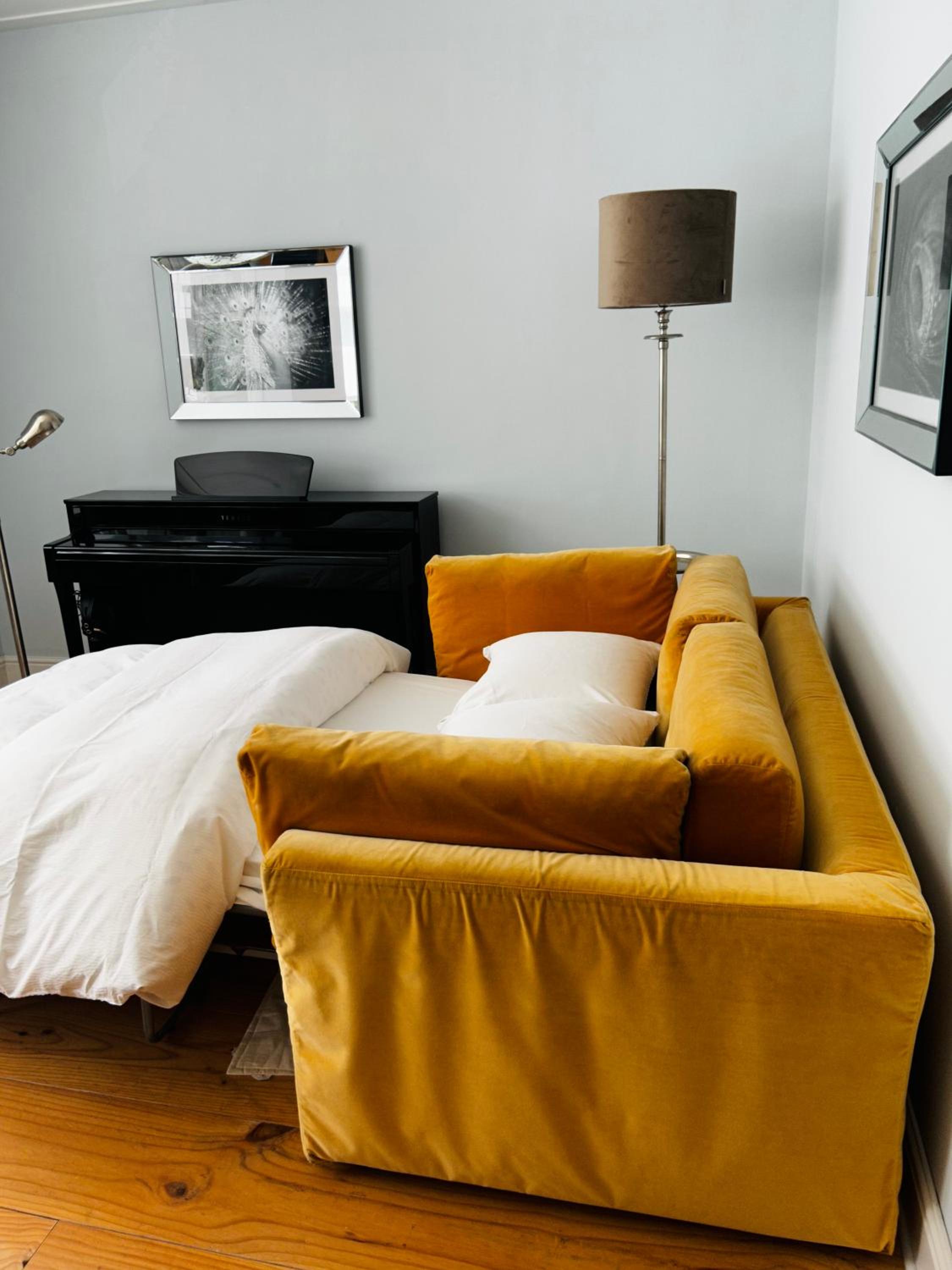 Luxury apartment in the city center
