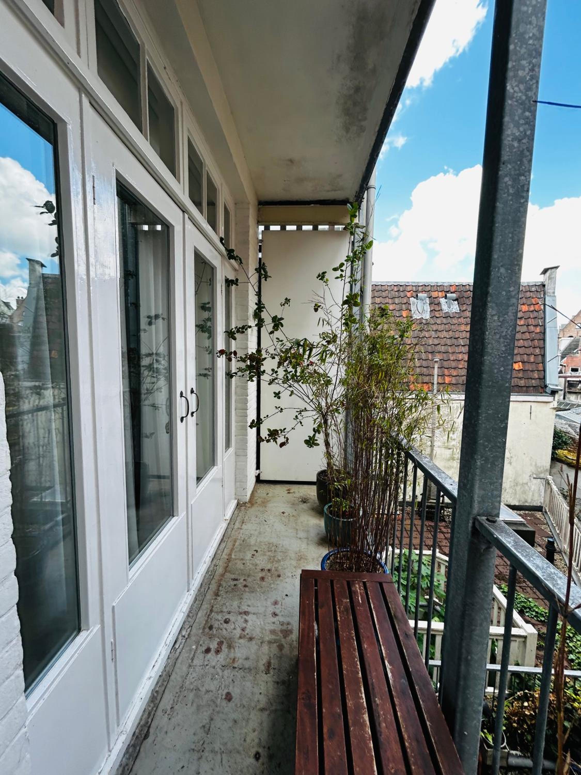 Luxury apartment in the city center