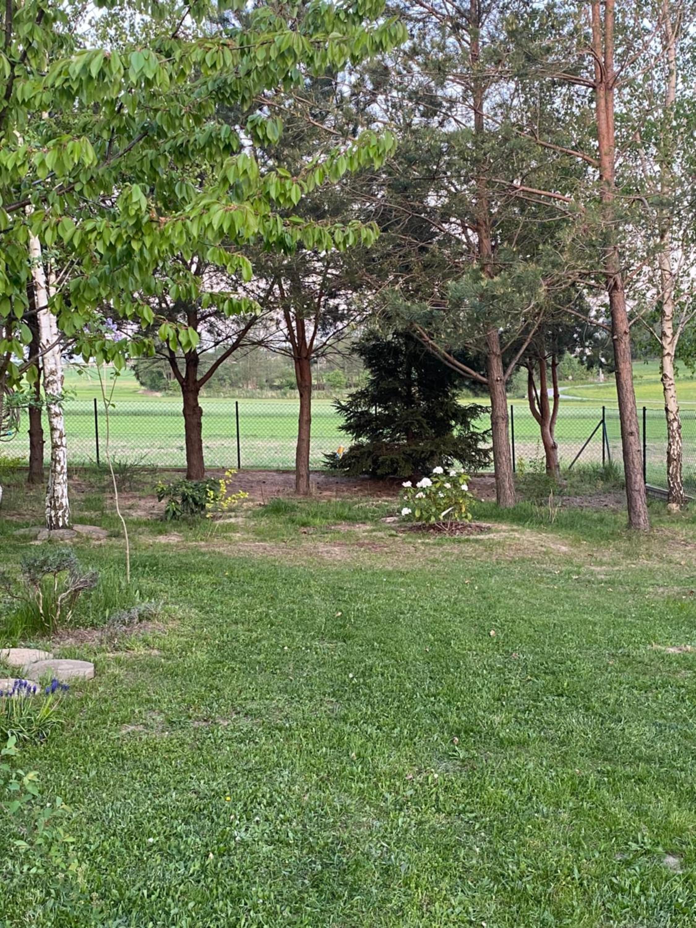 Photo 32