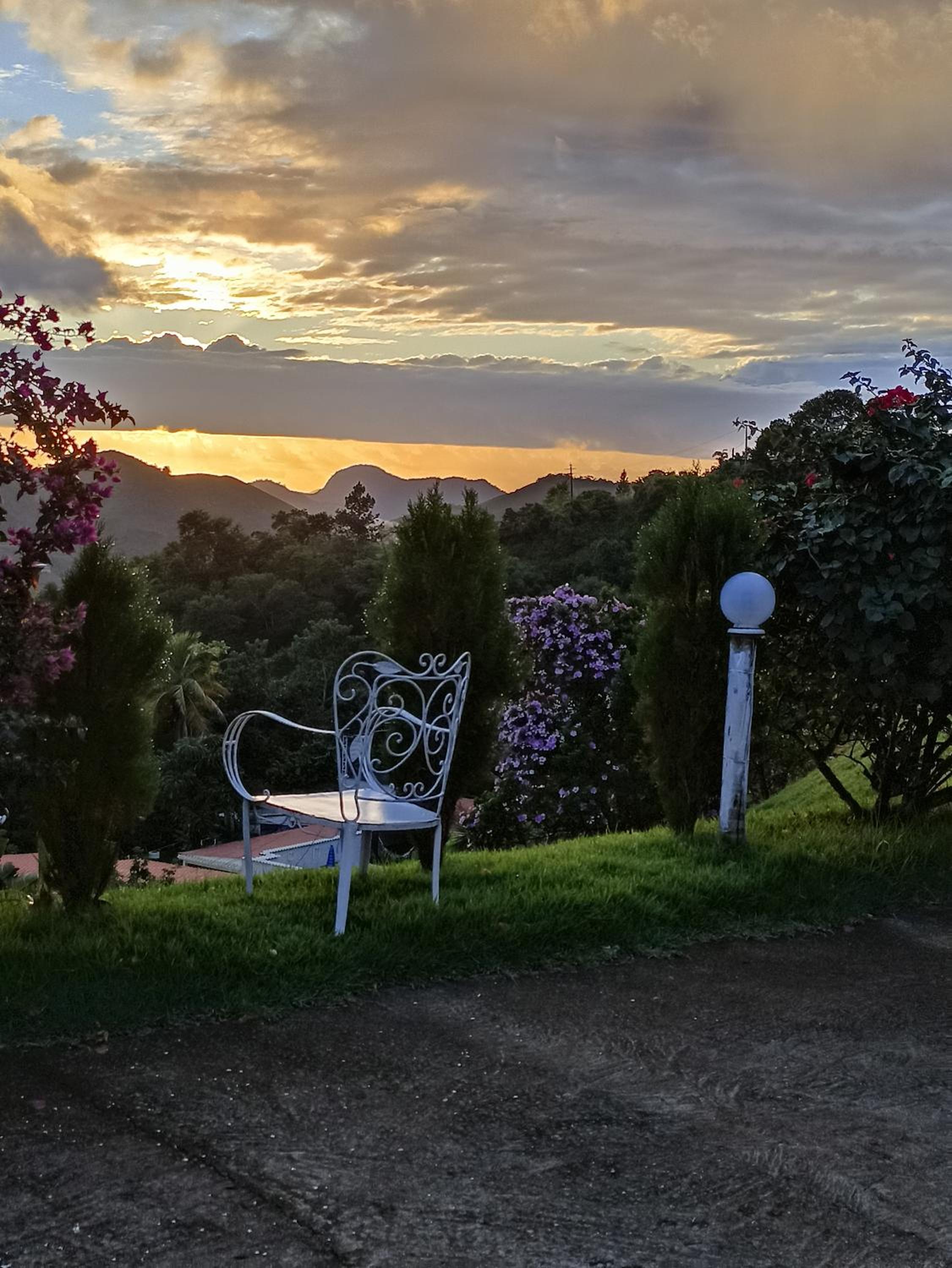 garden