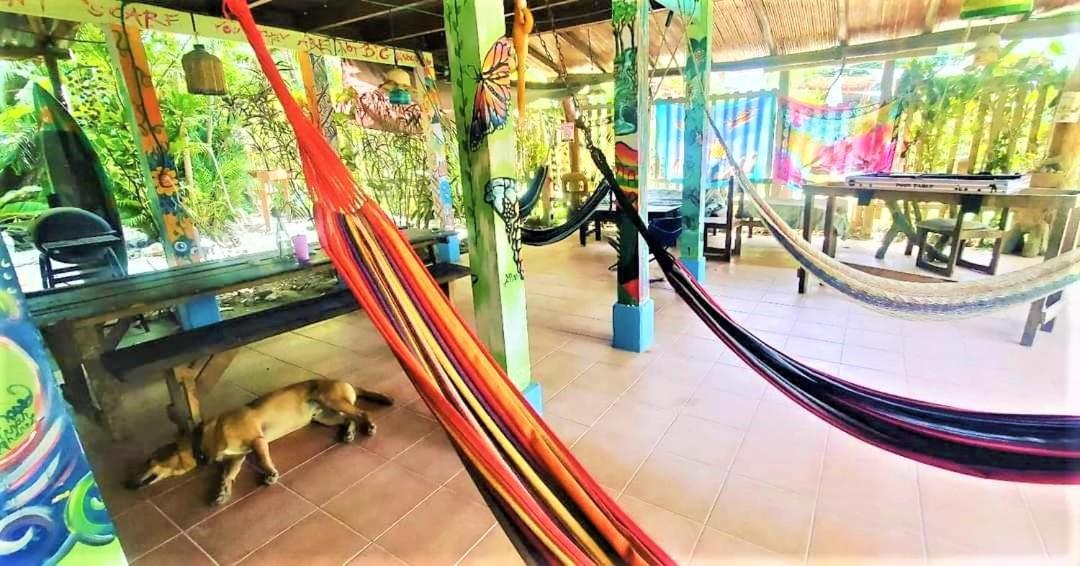 Hostel Mariposas