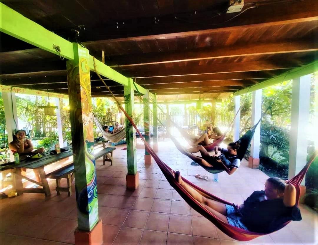 Hostel Mariposas
