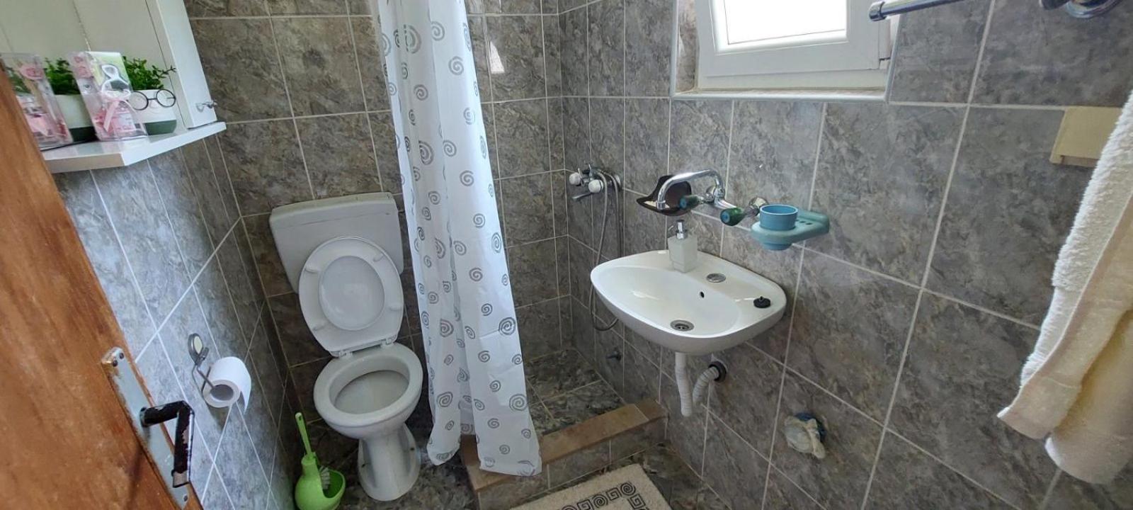 Apartment Pavle