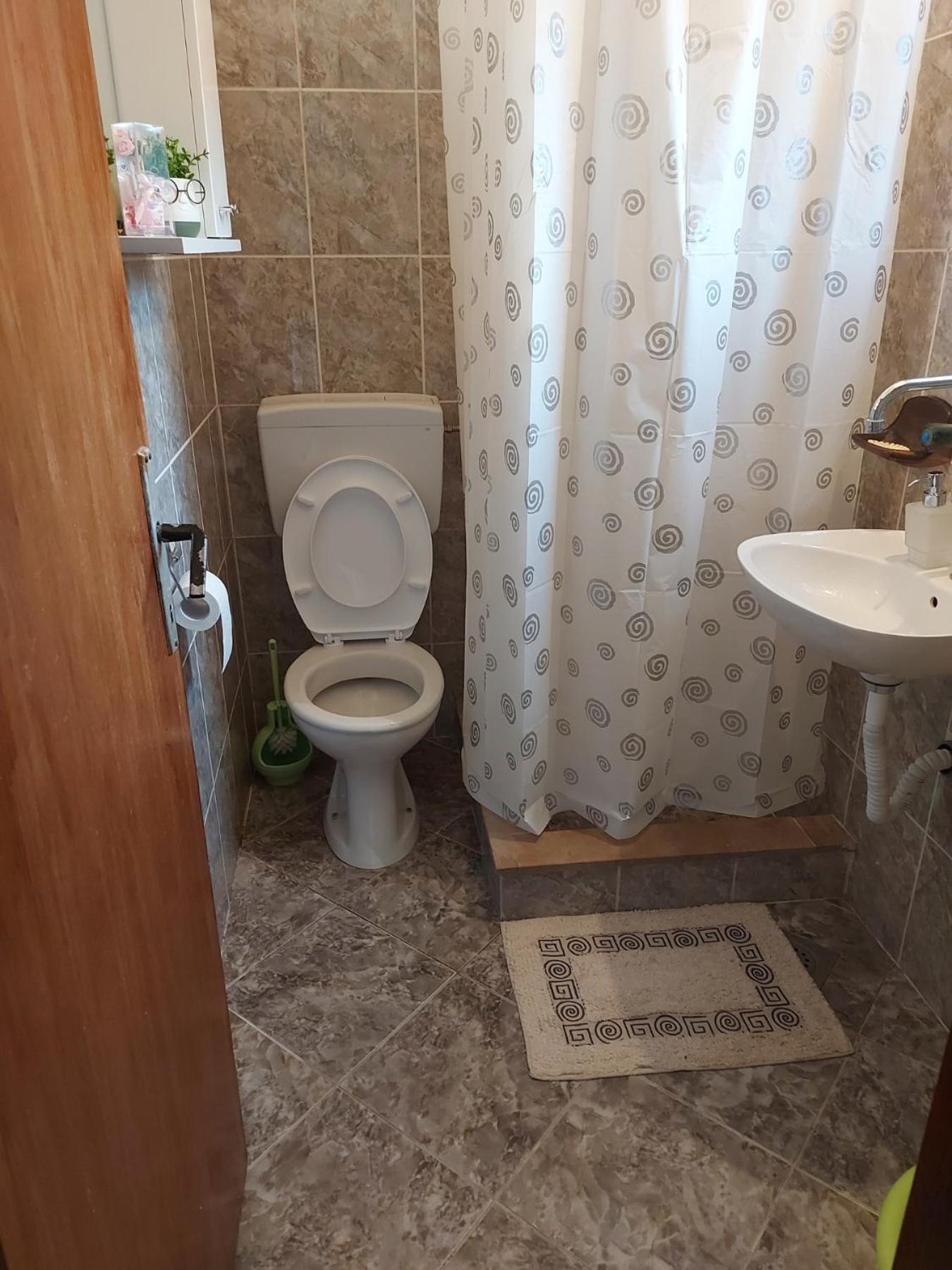 Apartment Pavle