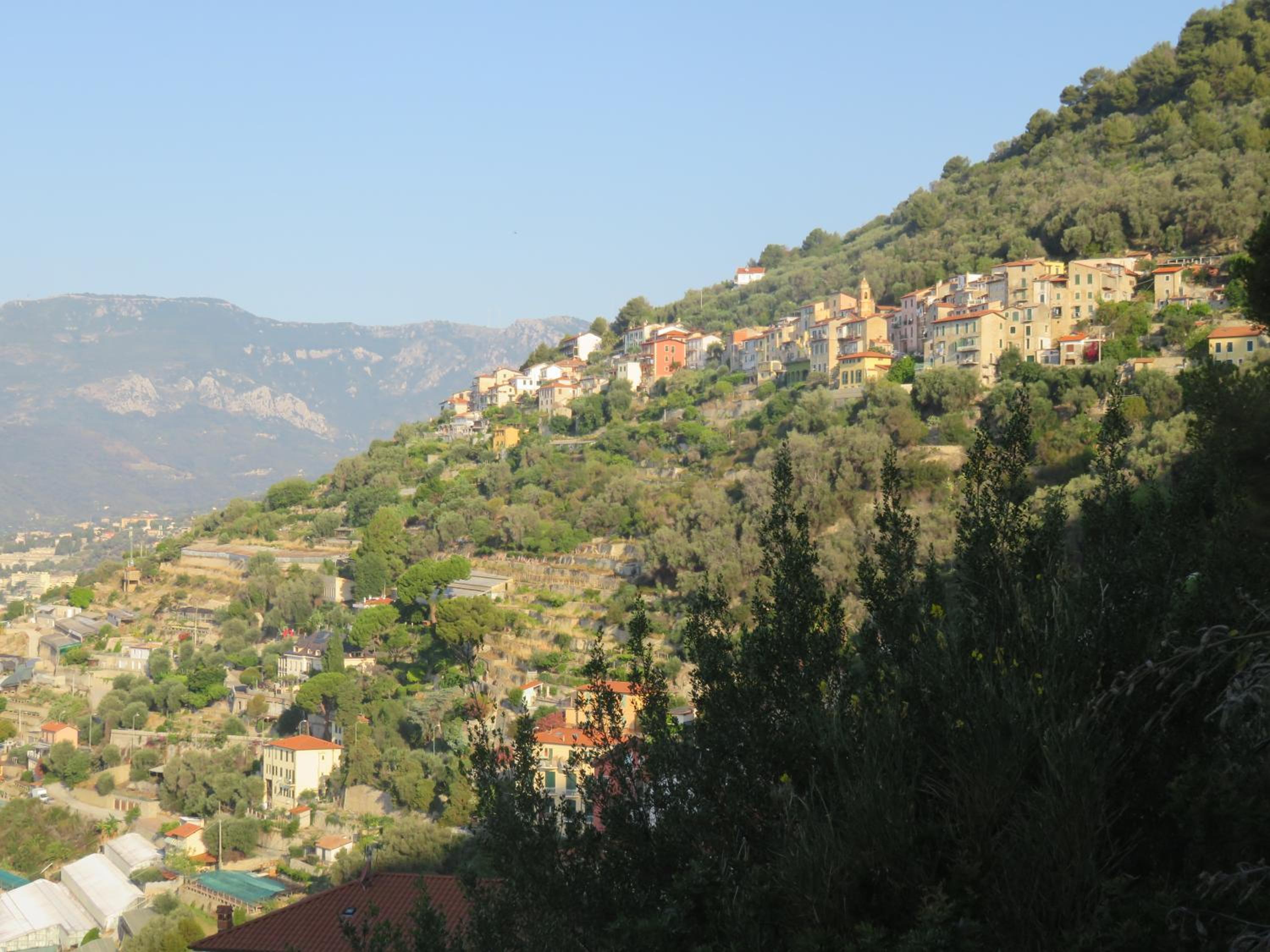 Amaita