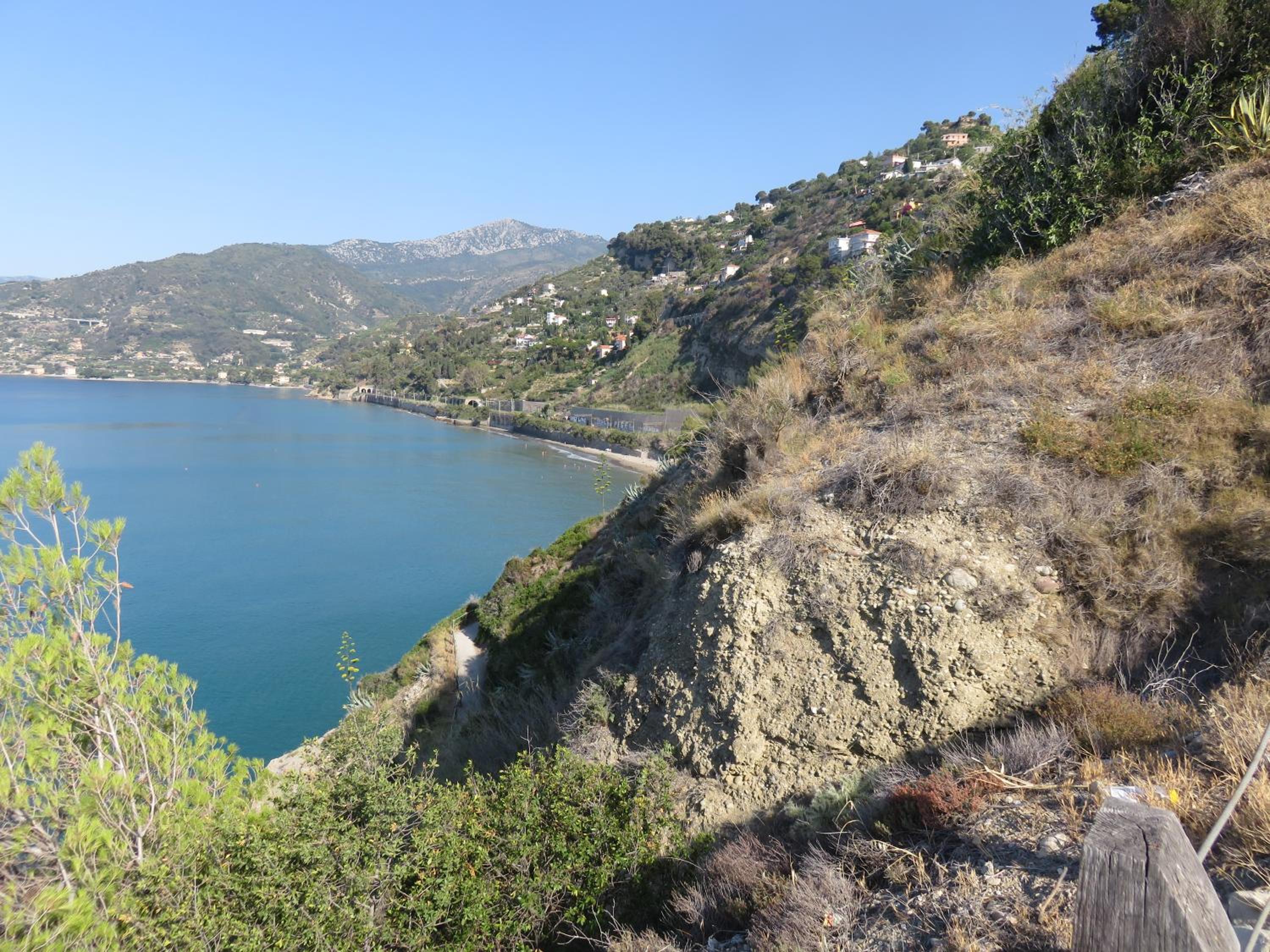 Amaita