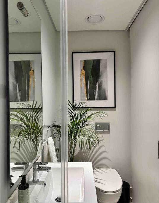 Explore Emerald Studio - Ellipse Waterfall