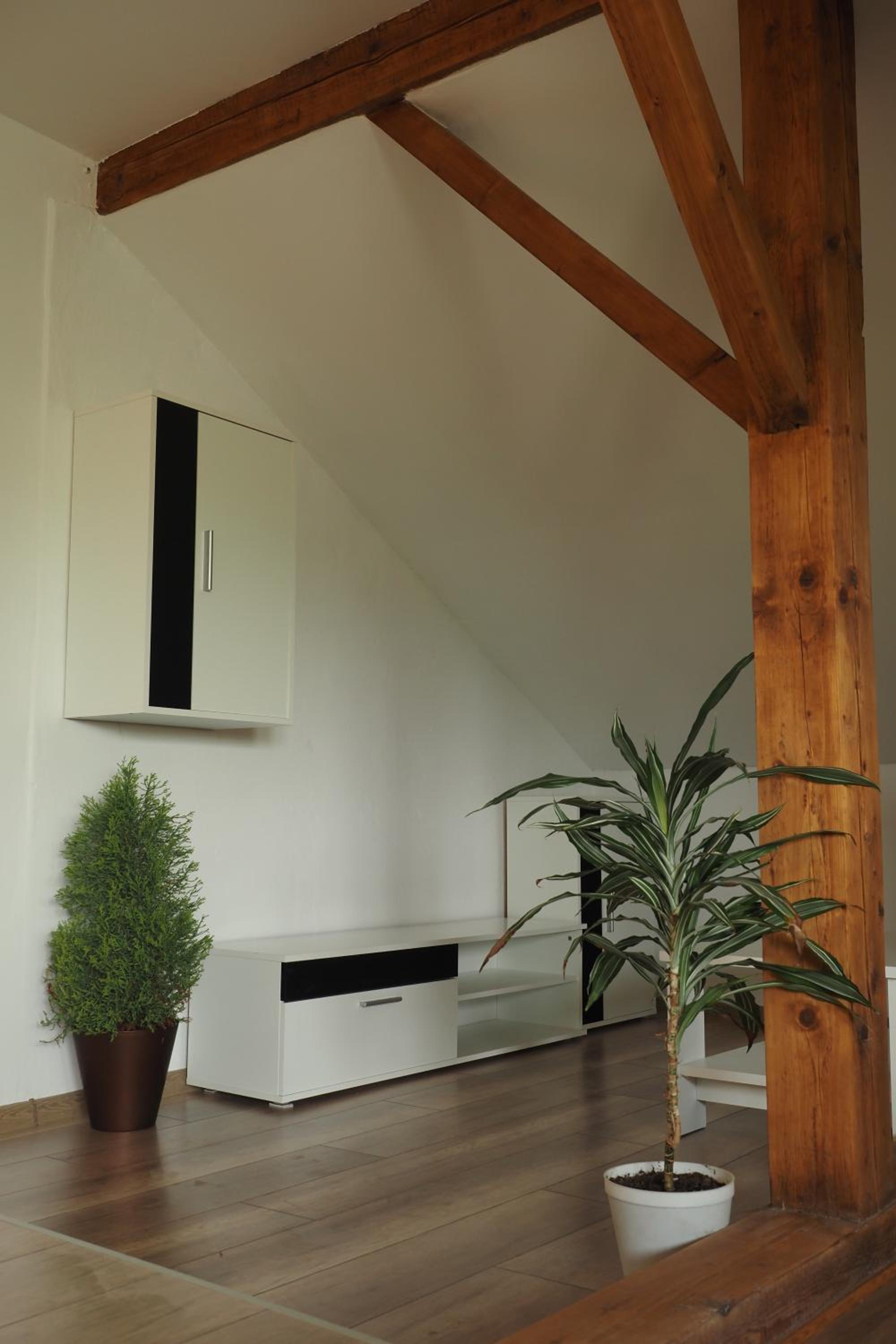 Apartmán U Borovice