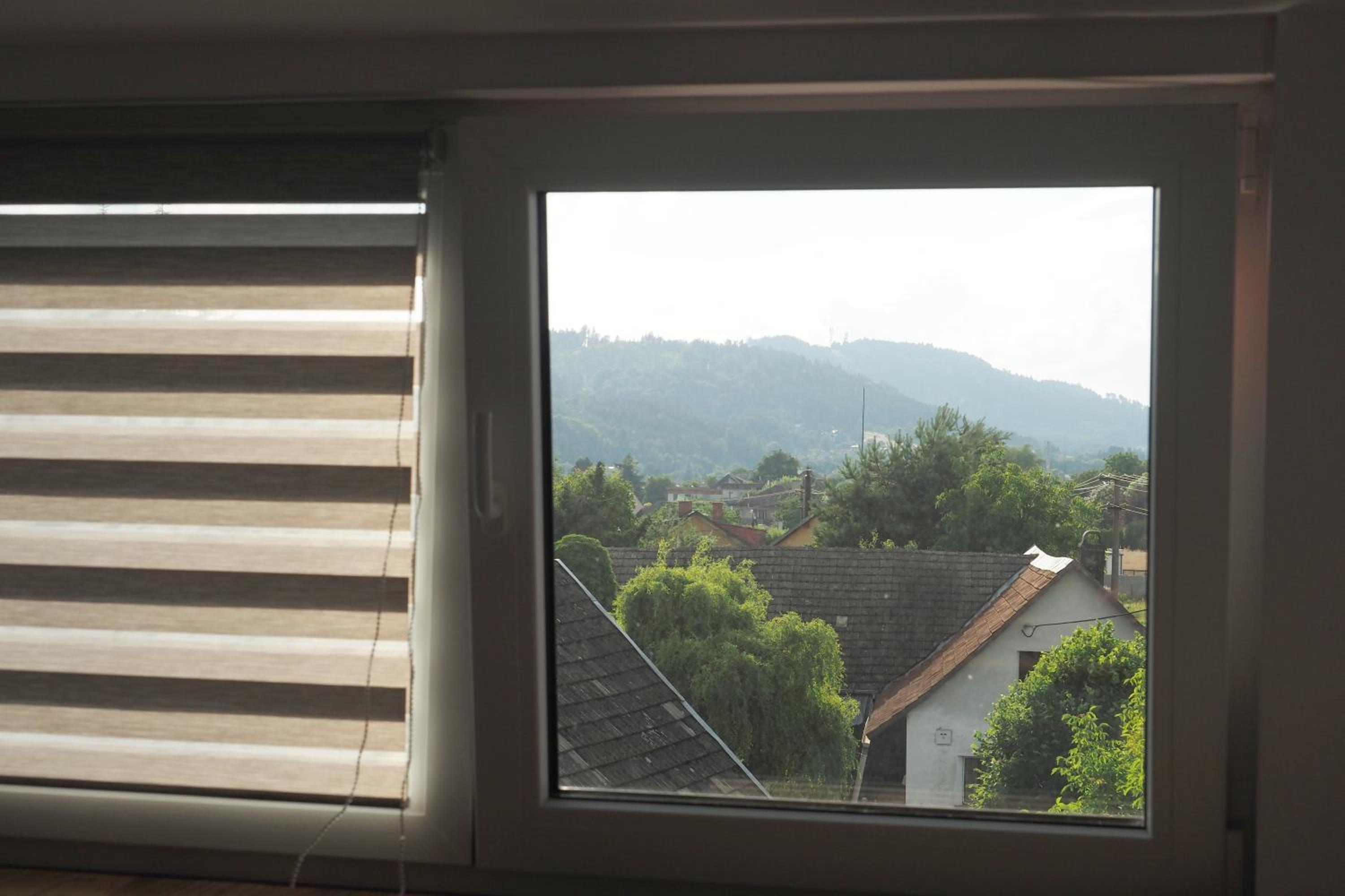 Apartmán U Borovice