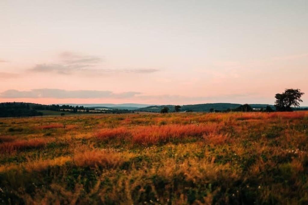 Unique Stay! Ricketts Chic Farmhouse Retreat with Stargazing Bubble Tent view 5