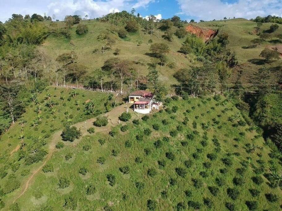 Finca Las Veraneras en Sevilla Valle