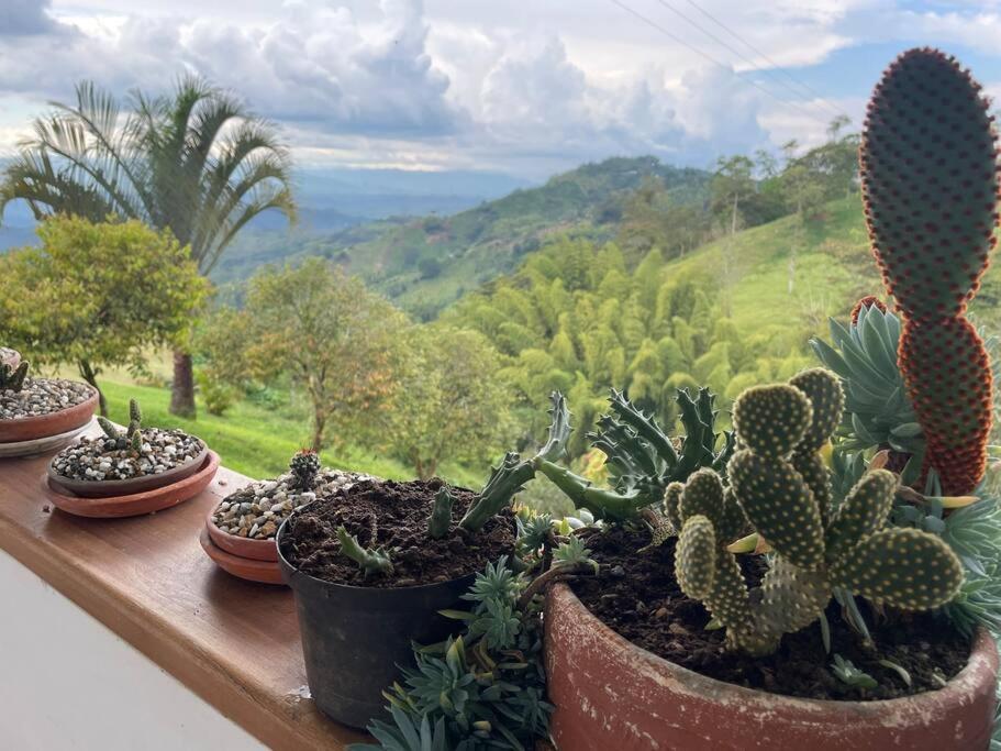 Finca Las Veraneras en Sevilla Valle