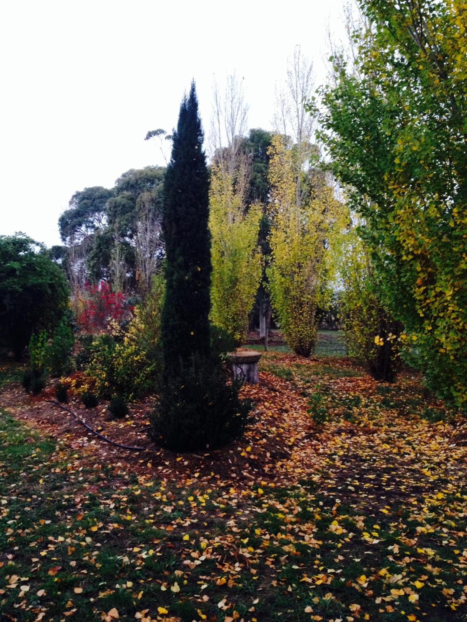 Pierrepoint Accommodation
