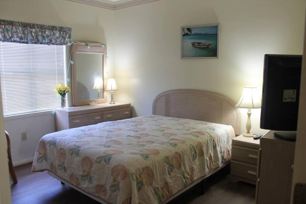 Shore Drive area Cottage view 5