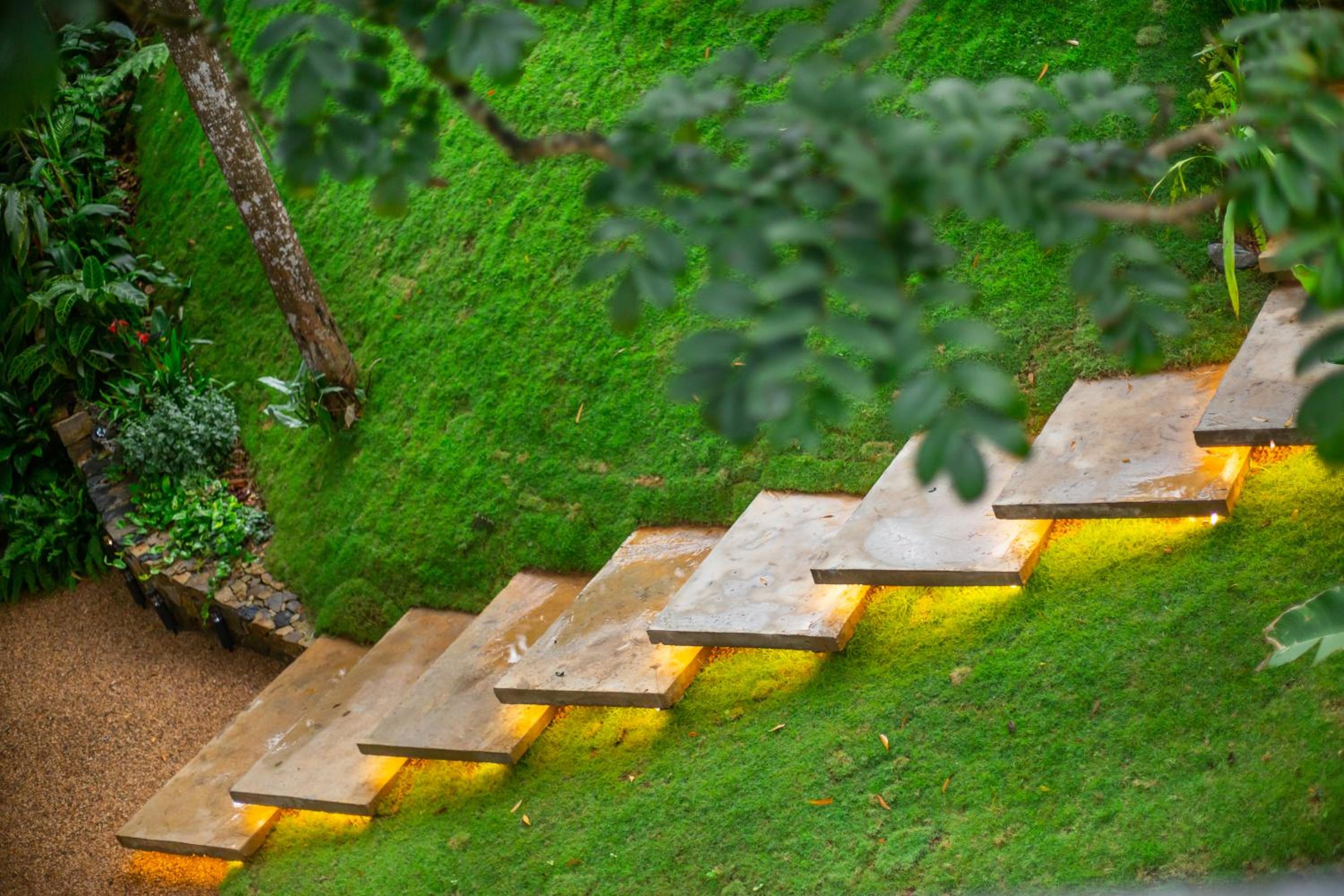 Namara Green Ella view 2