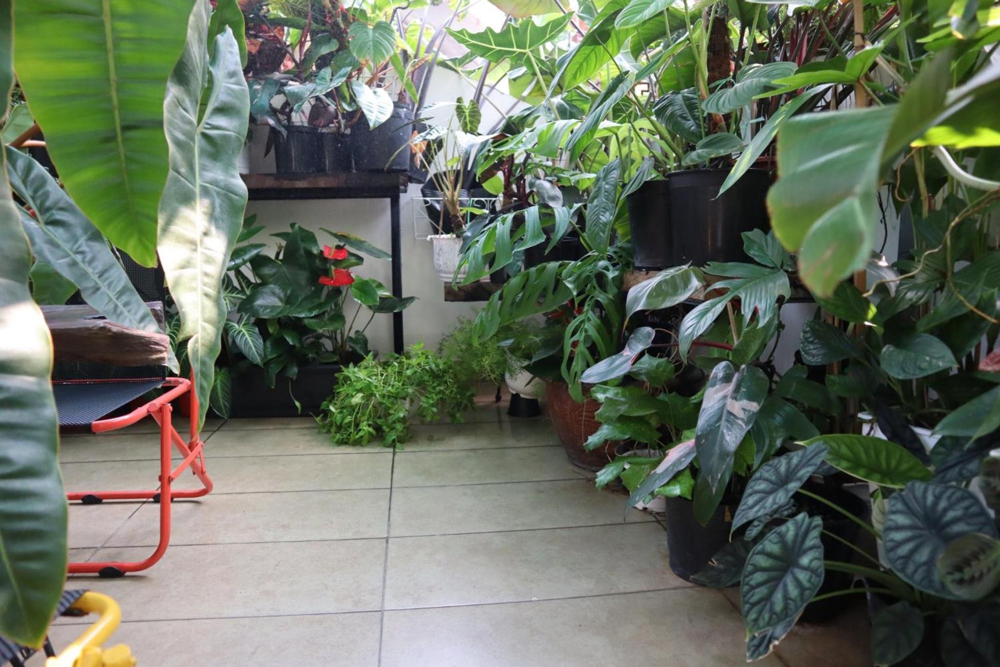 Amango Dorm