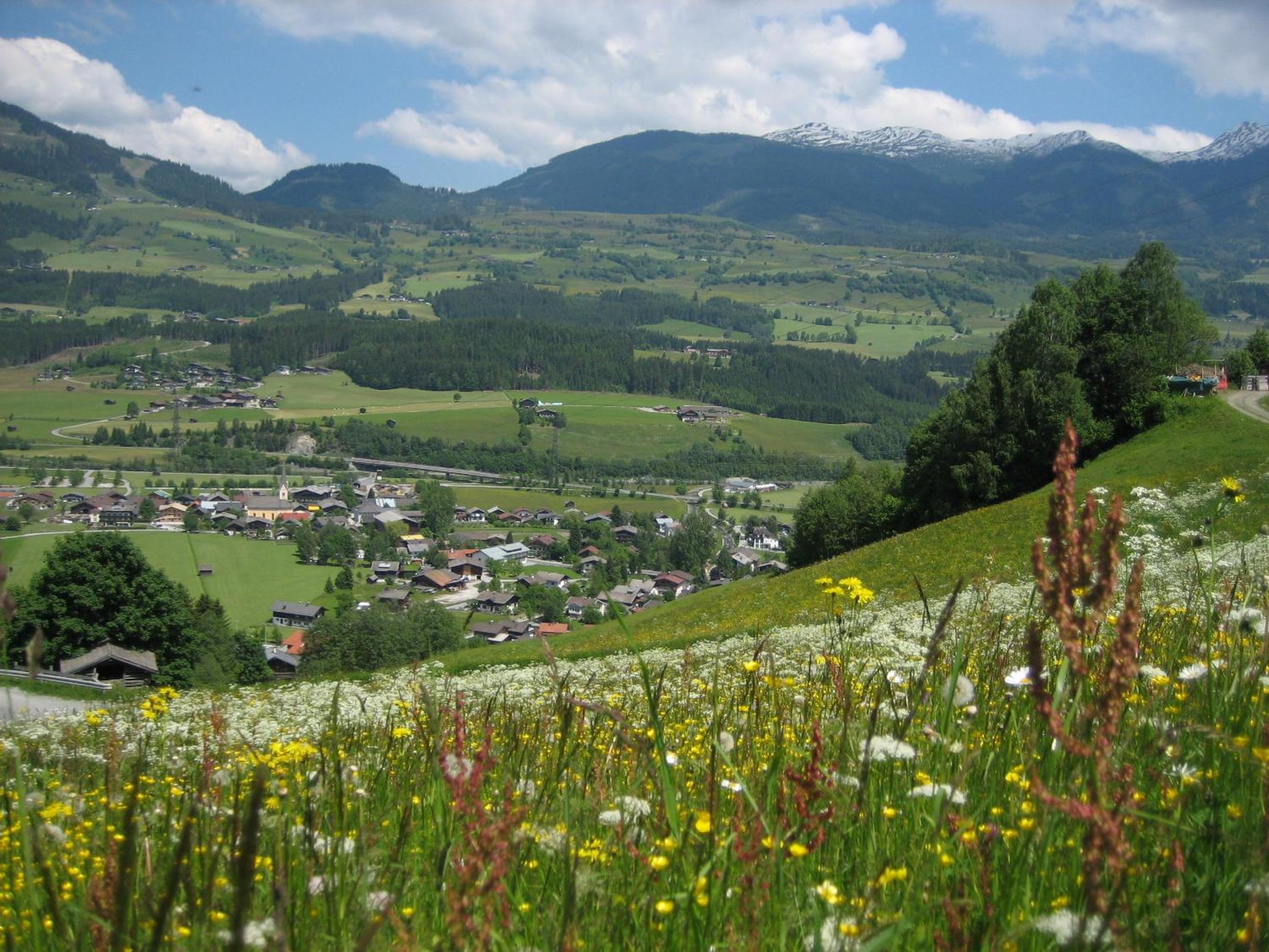 Appartement Hasenauer