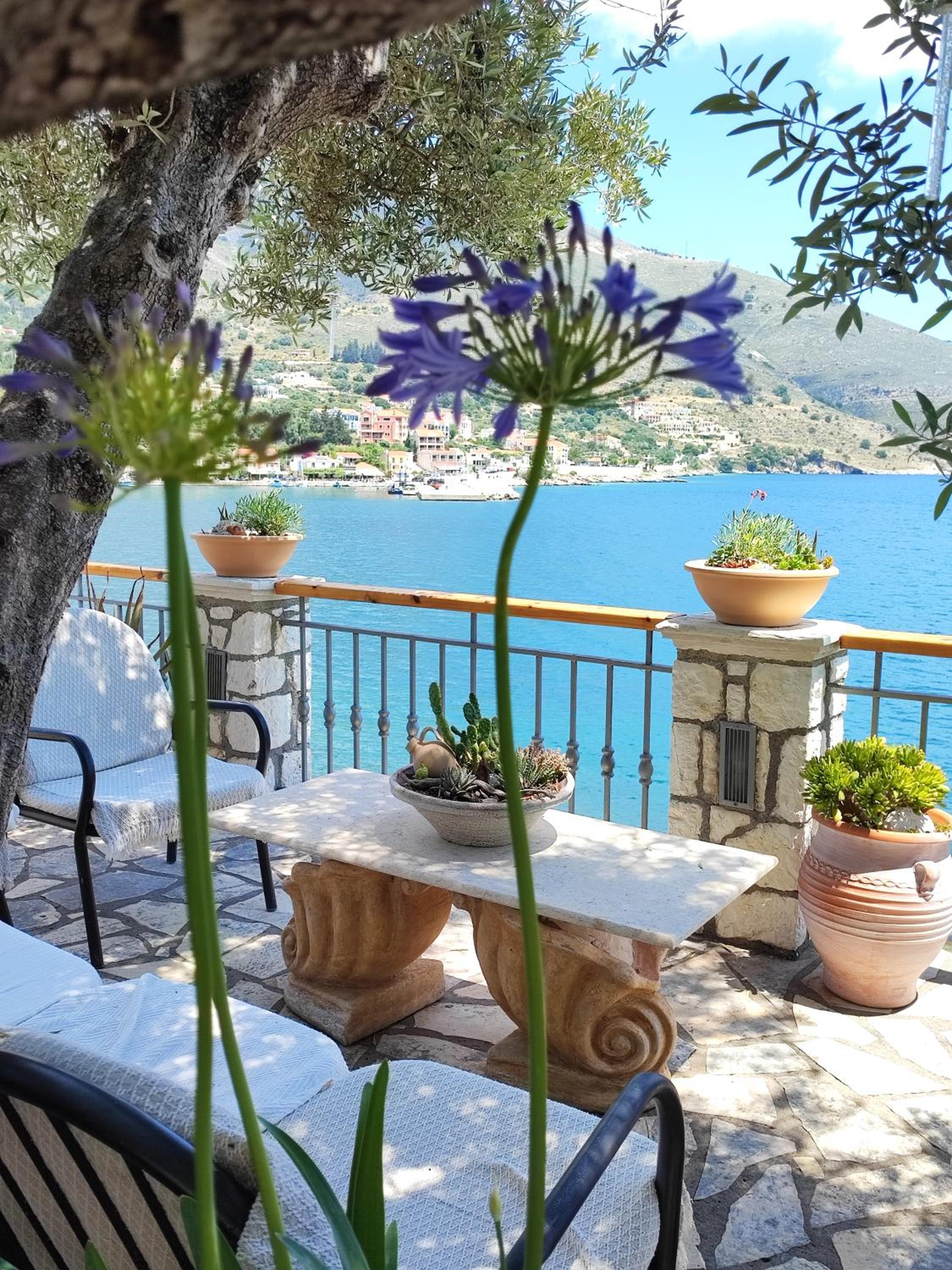 Photo 86