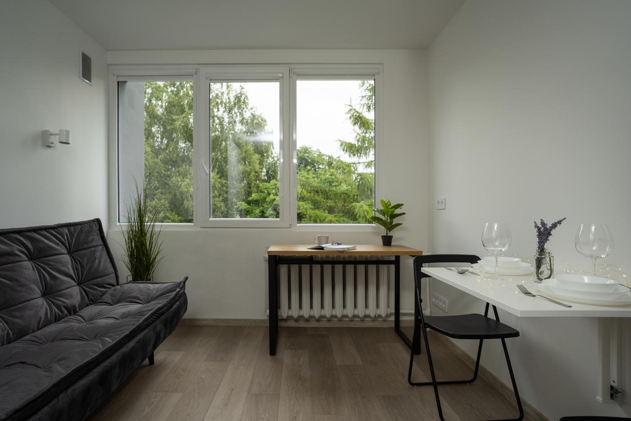 Nordic Studio 142 in Prime Vilnius Location view 2