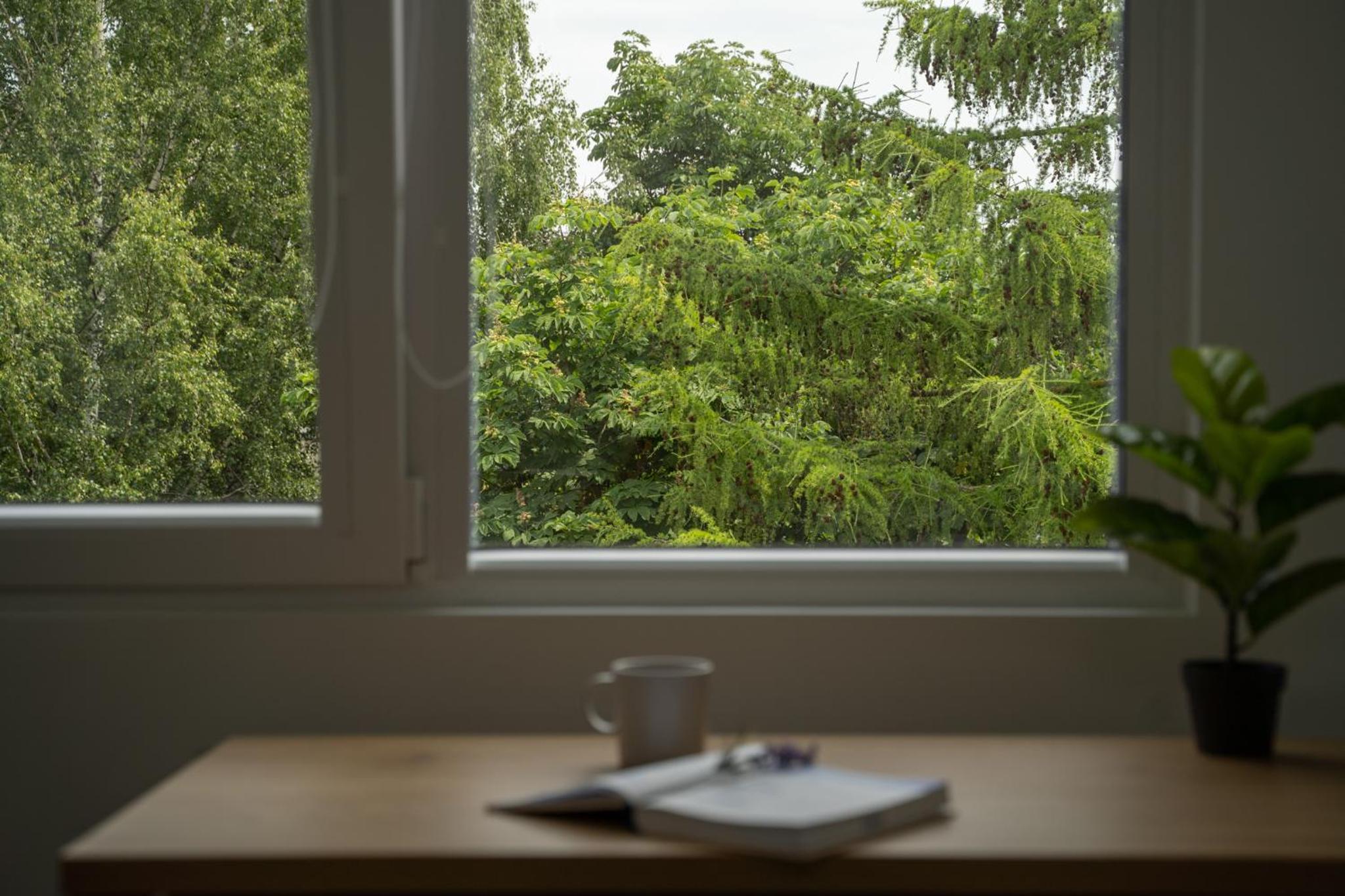 Nordic Studio 142 in Prime Vilnius Location view 5