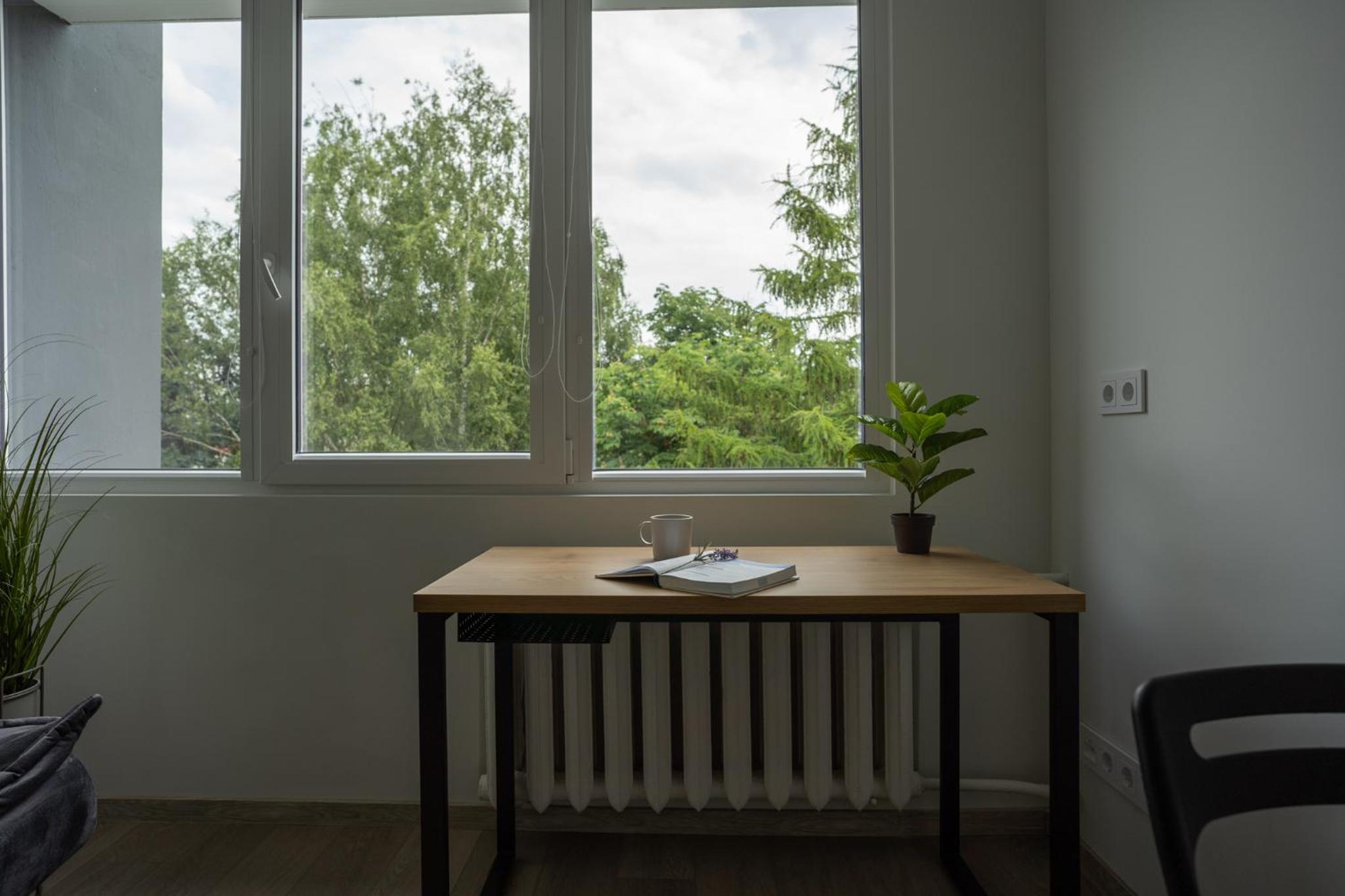 Nordic Studio 142 in Prime Vilnius Location view 4