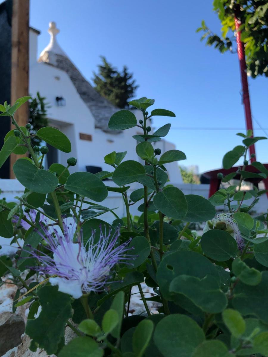 Trullo Trilli Puglia