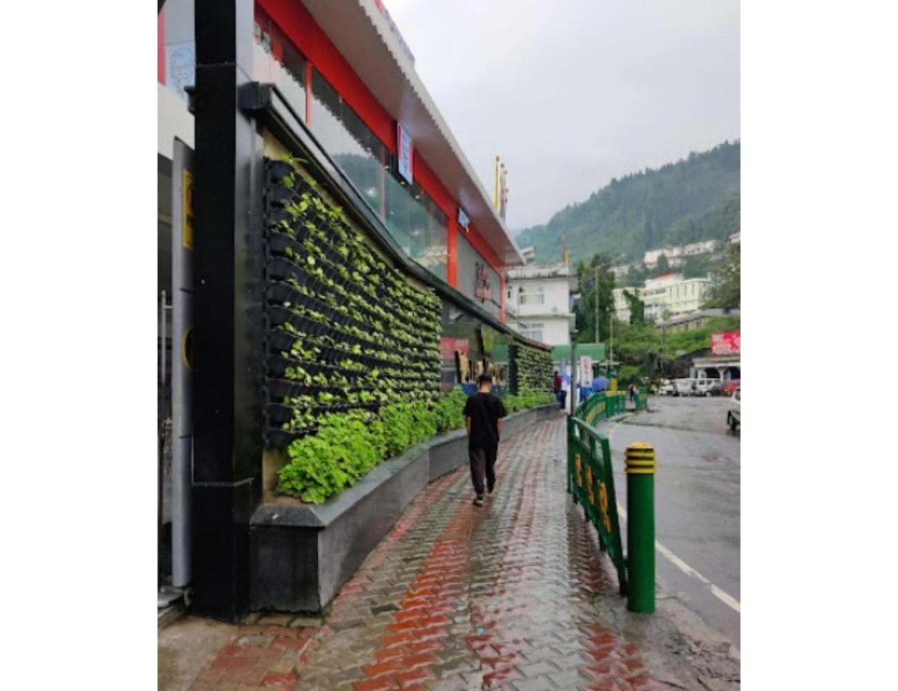 Hotel Yatung, Gangtok view 2