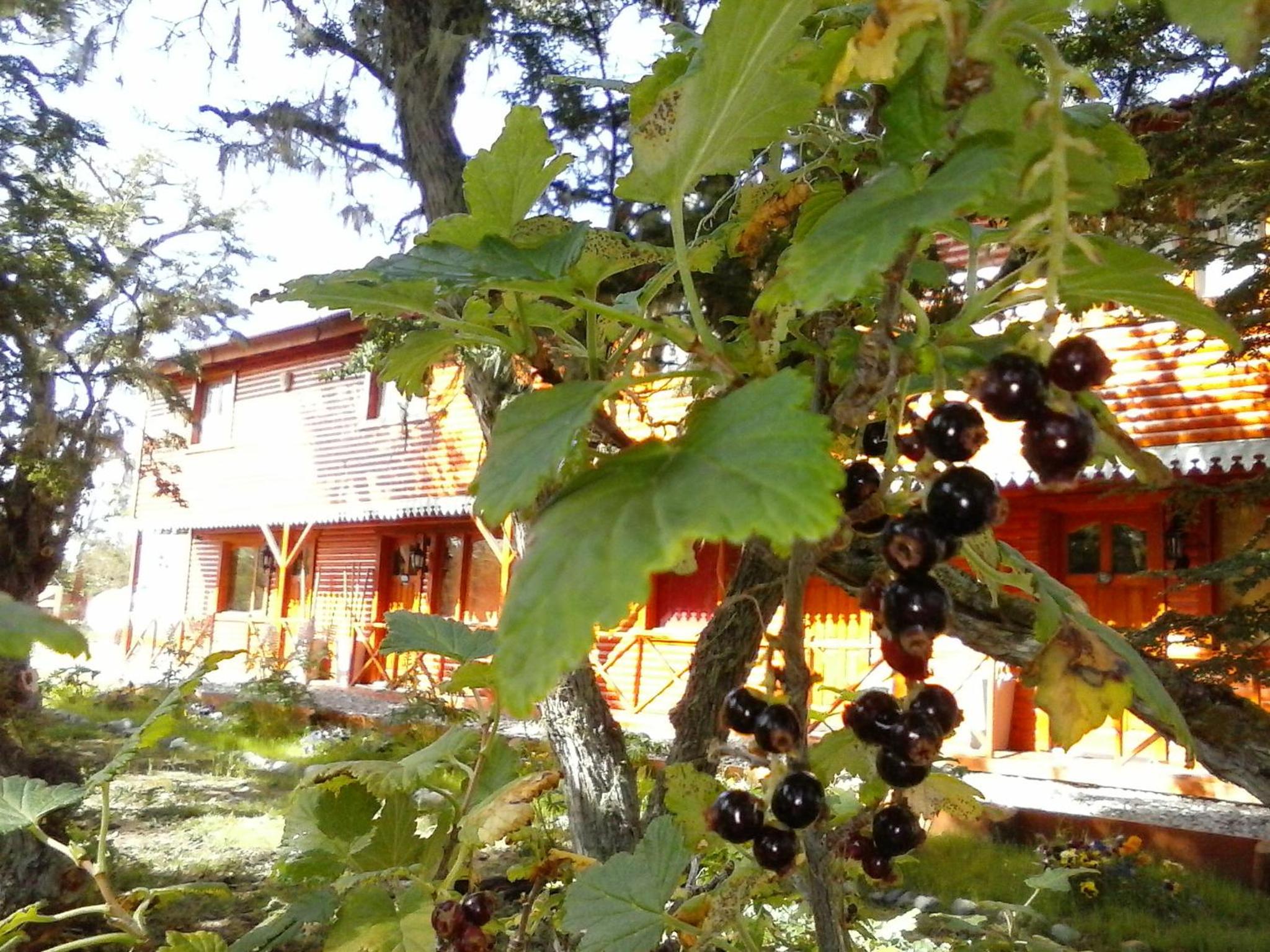 Altos de Tolhuin